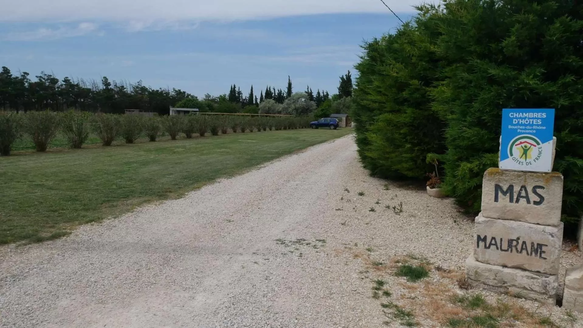 Property logo or sign in MAS MAURANE-Chambre d'hôte avec SPA privé aux portes d'ARLES