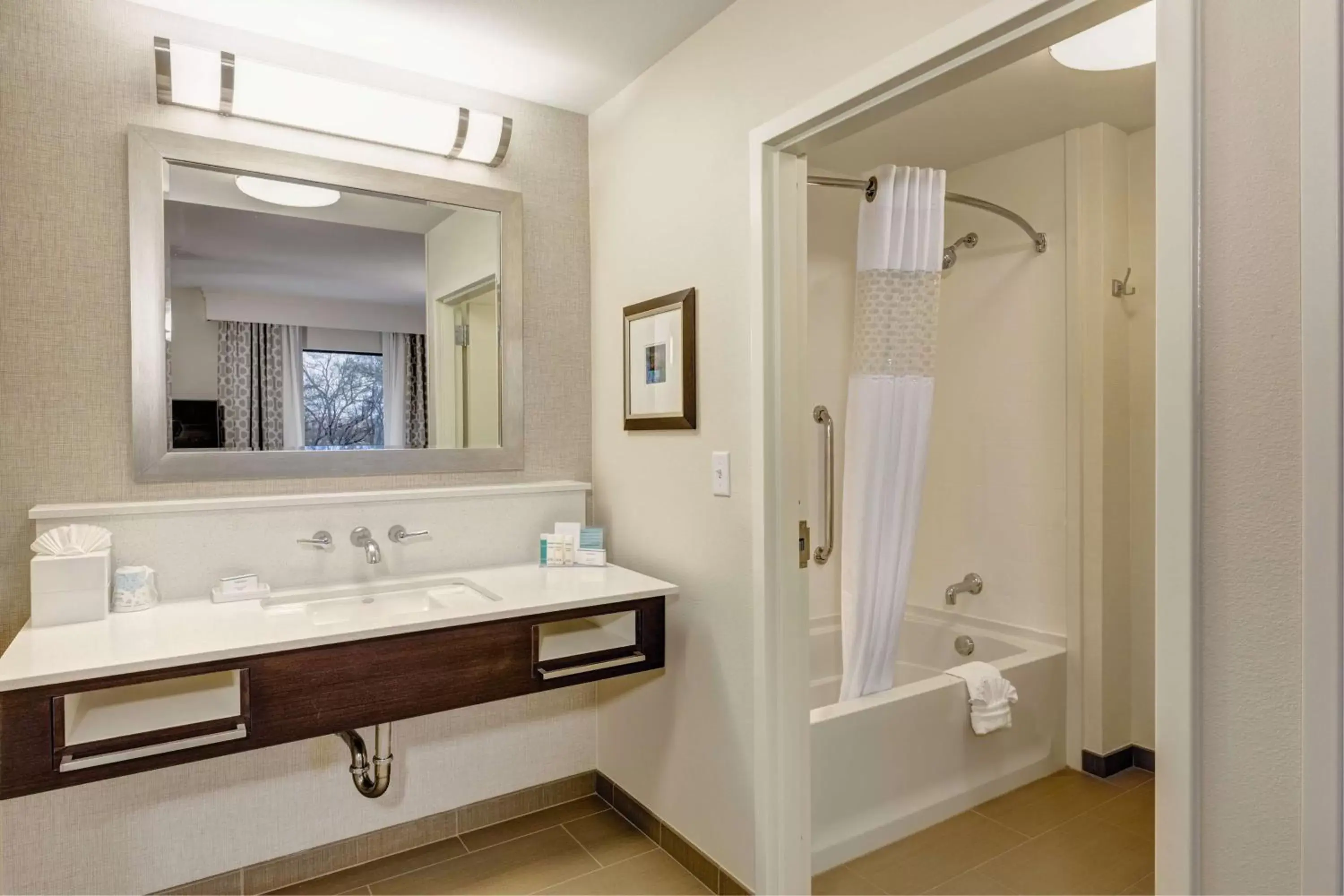 Bathroom in Hampton Inn & Suites Dallas/Plano-East