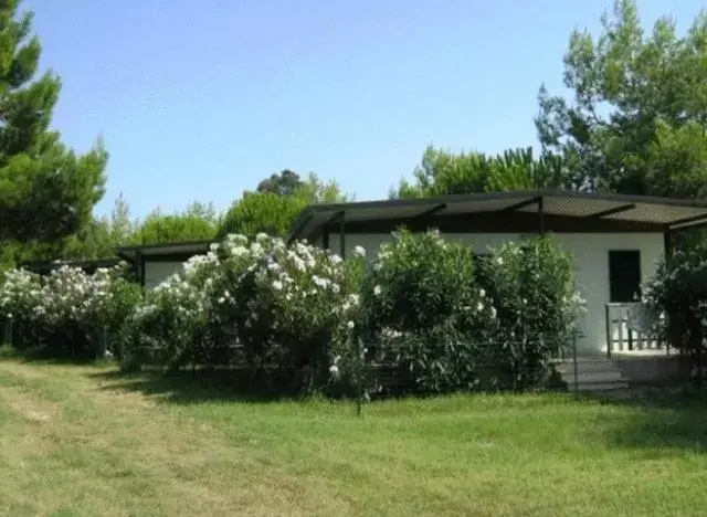 Property Building in Vela Club Hotel