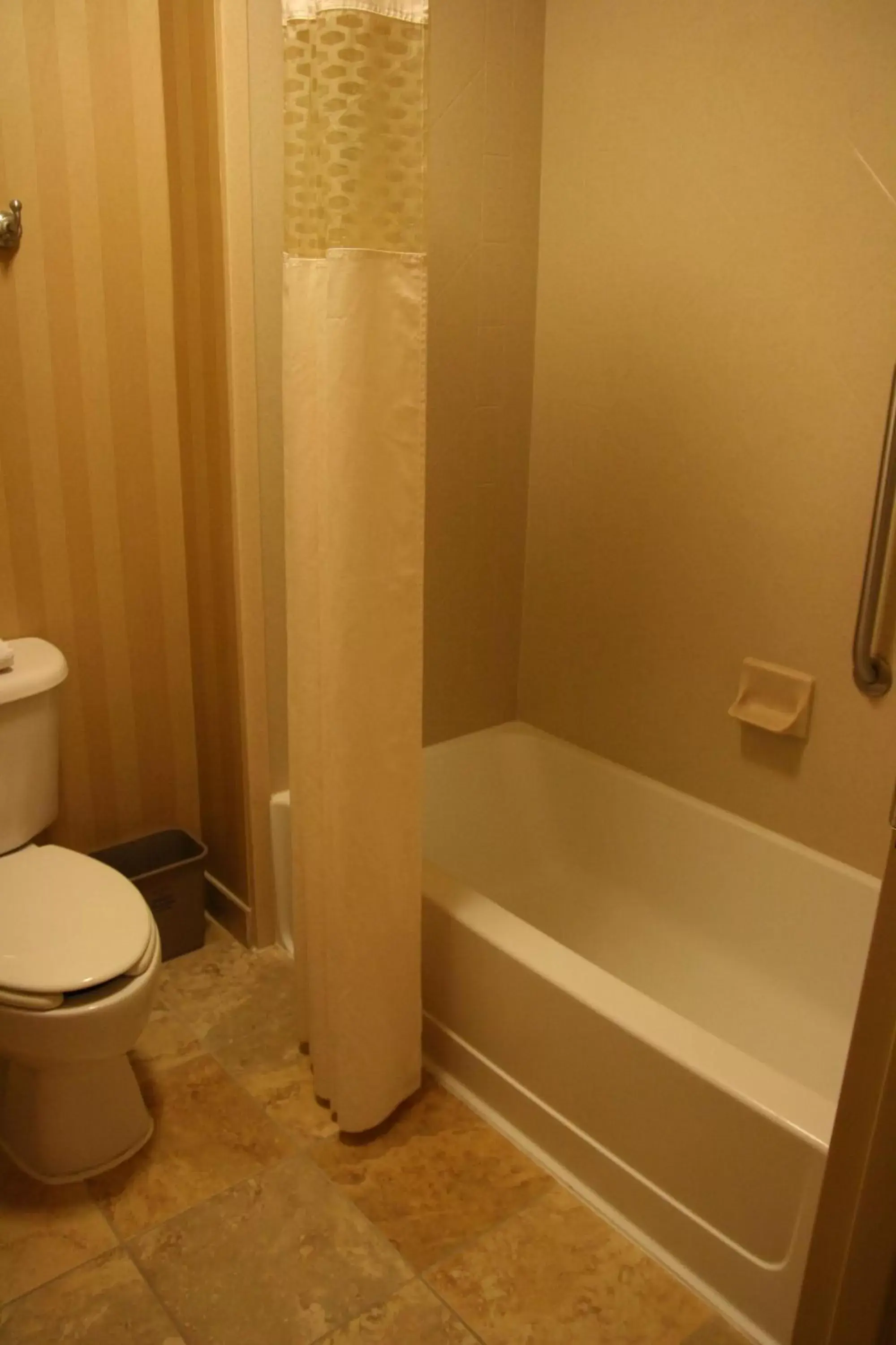 Bathroom in Hampton Inn & Suites Mobile Providence Park/Airport