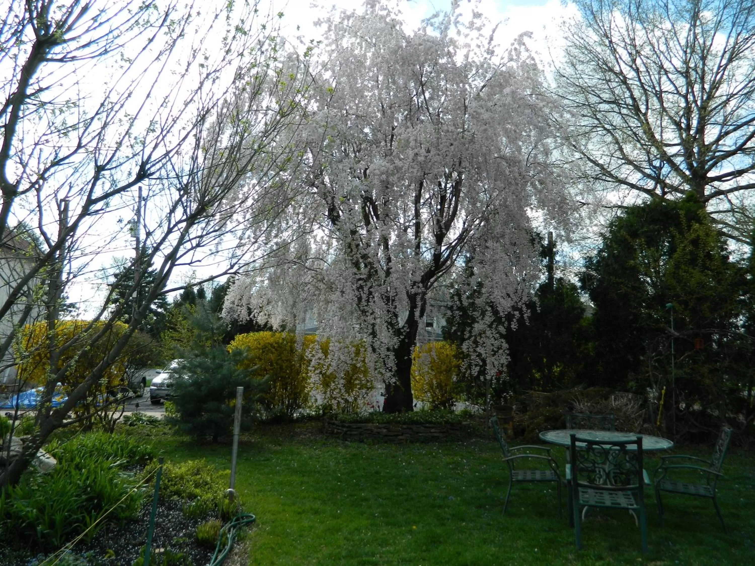 Facade/entrance in EJ Bowman House Bed & Breakfast