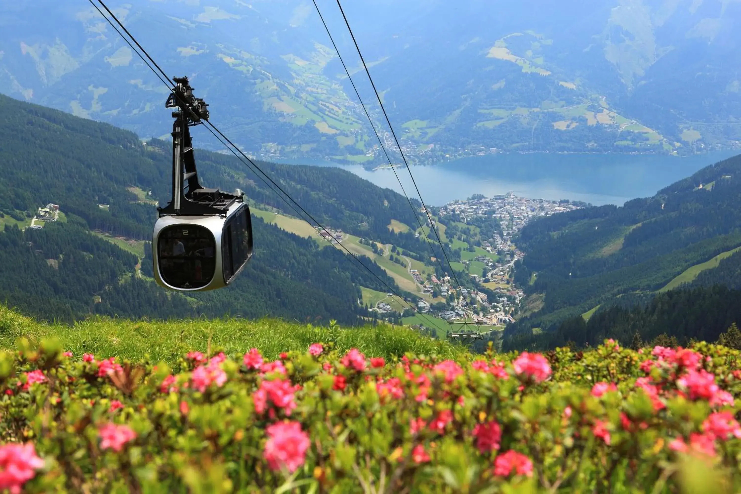 Hiking in Hotel Der Waldhof