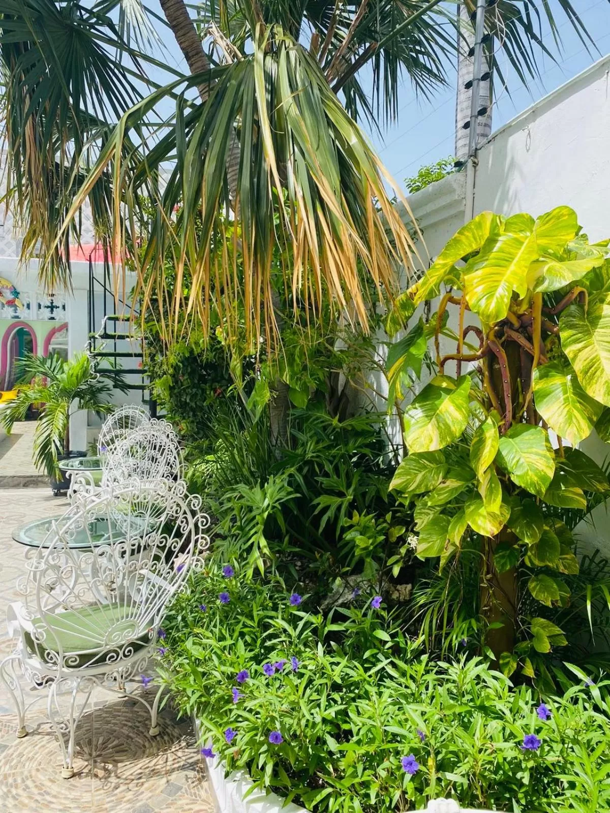 Garden in The Quetzal