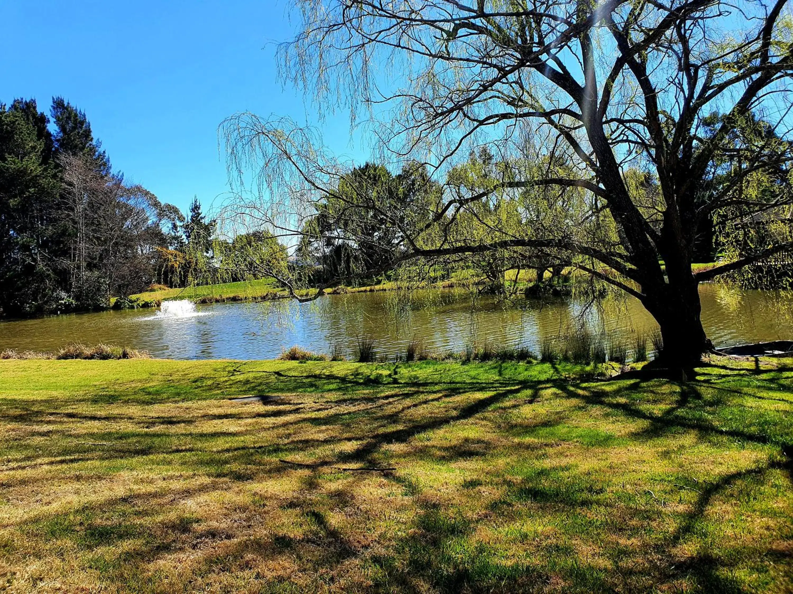 Natural Landscape in Briars Country Lodge