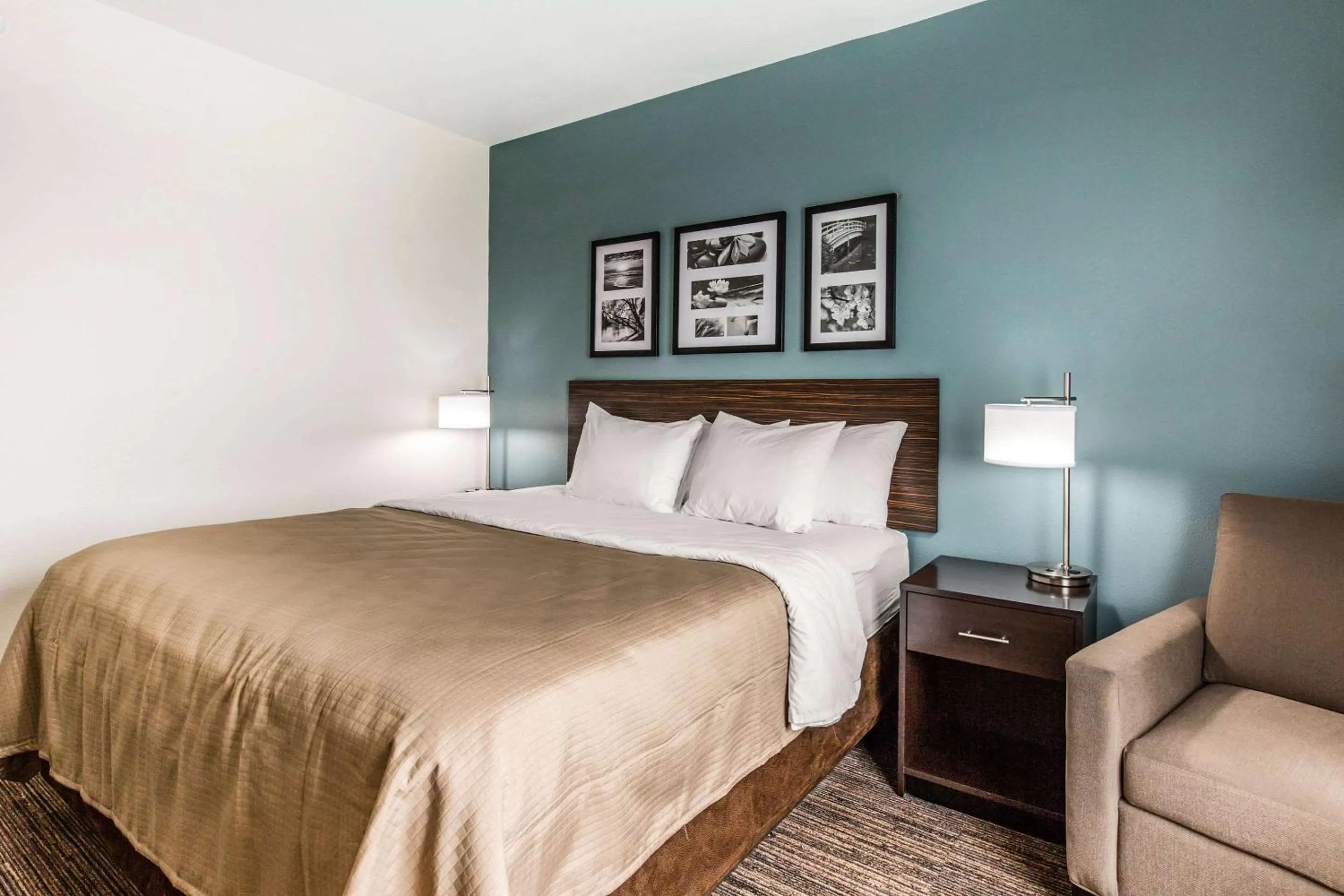 Photo of the whole room, Bed in Sleep Inn & Suites Bryan - College Station