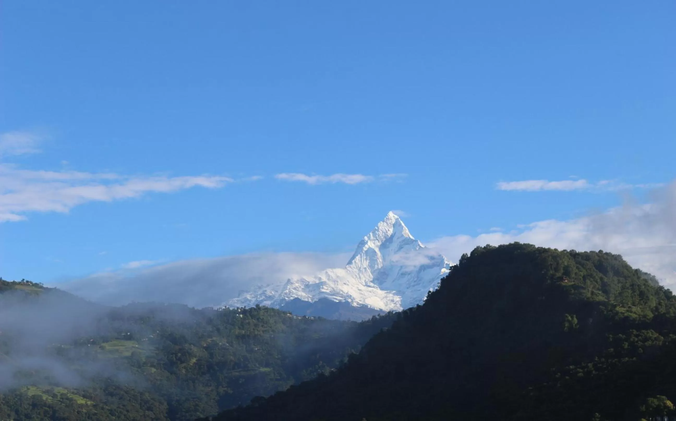 Mountain view in Hotel Buttercup
