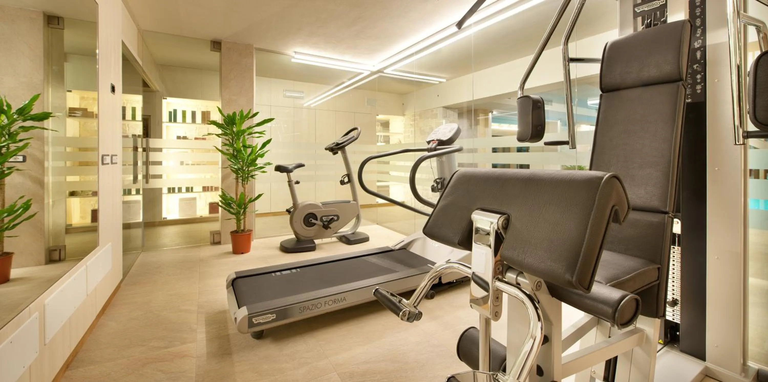 Fitness centre/facilities in Bivio Hotel Plaza