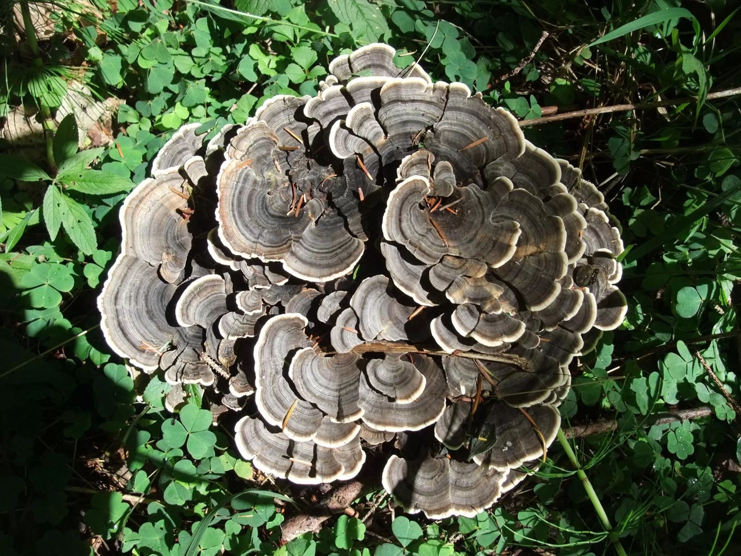 Staff in Schätzlhof OHG