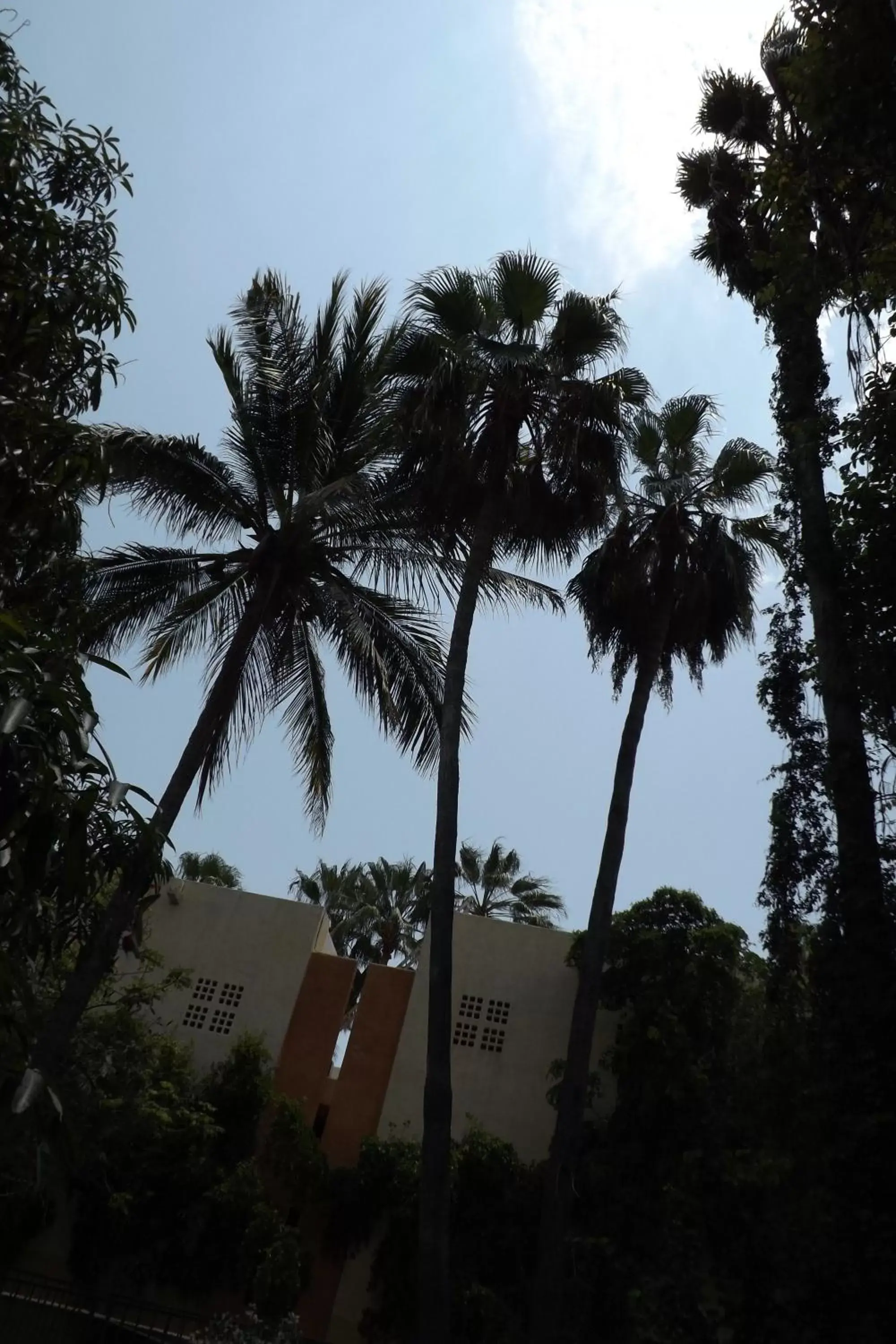 Natural landscape, Property Building in Hotel Posada Señor Mañana