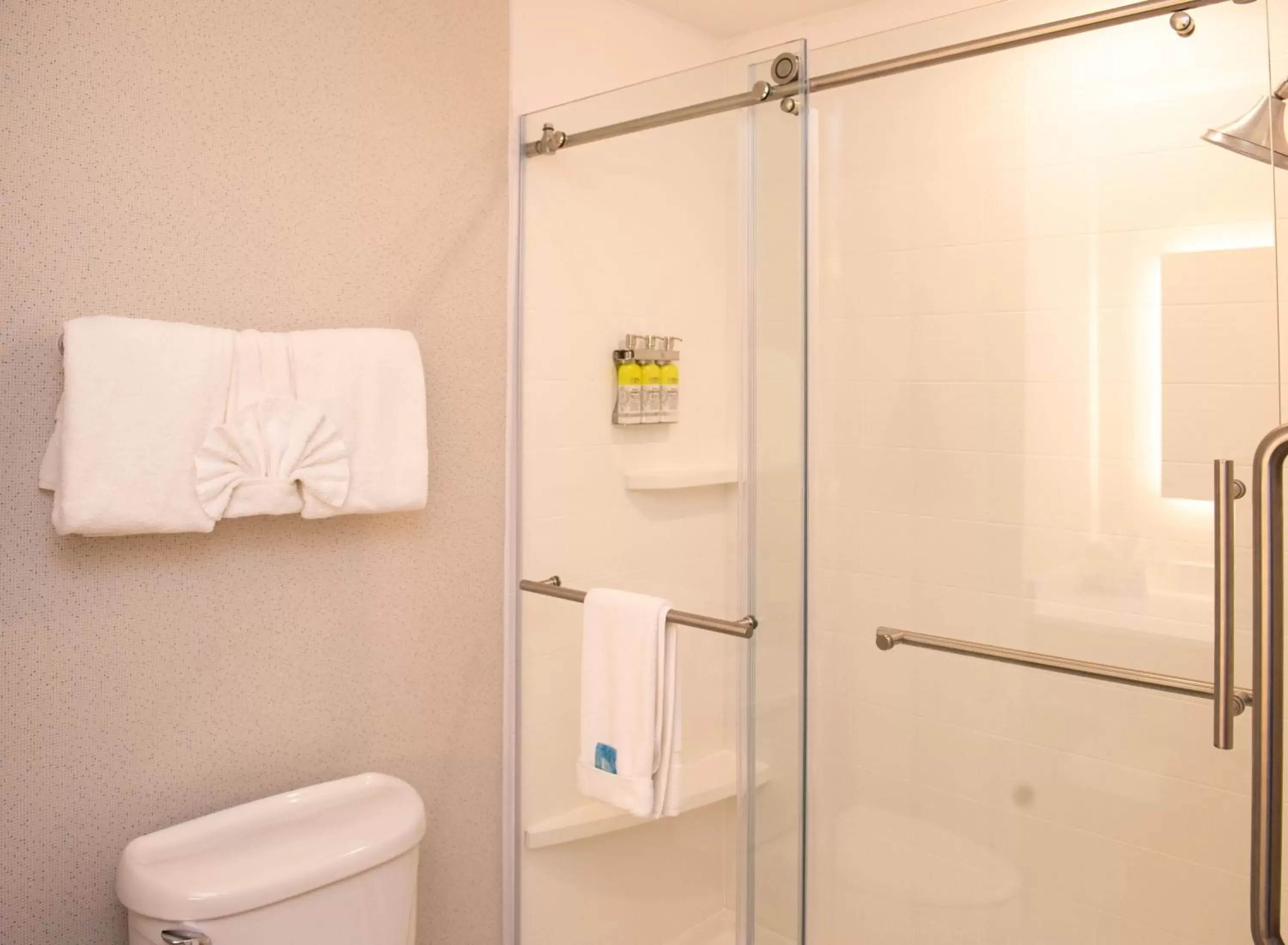 Bathroom in Holiday Inn Express Hotel & Suites Chester, an IHG Hotel