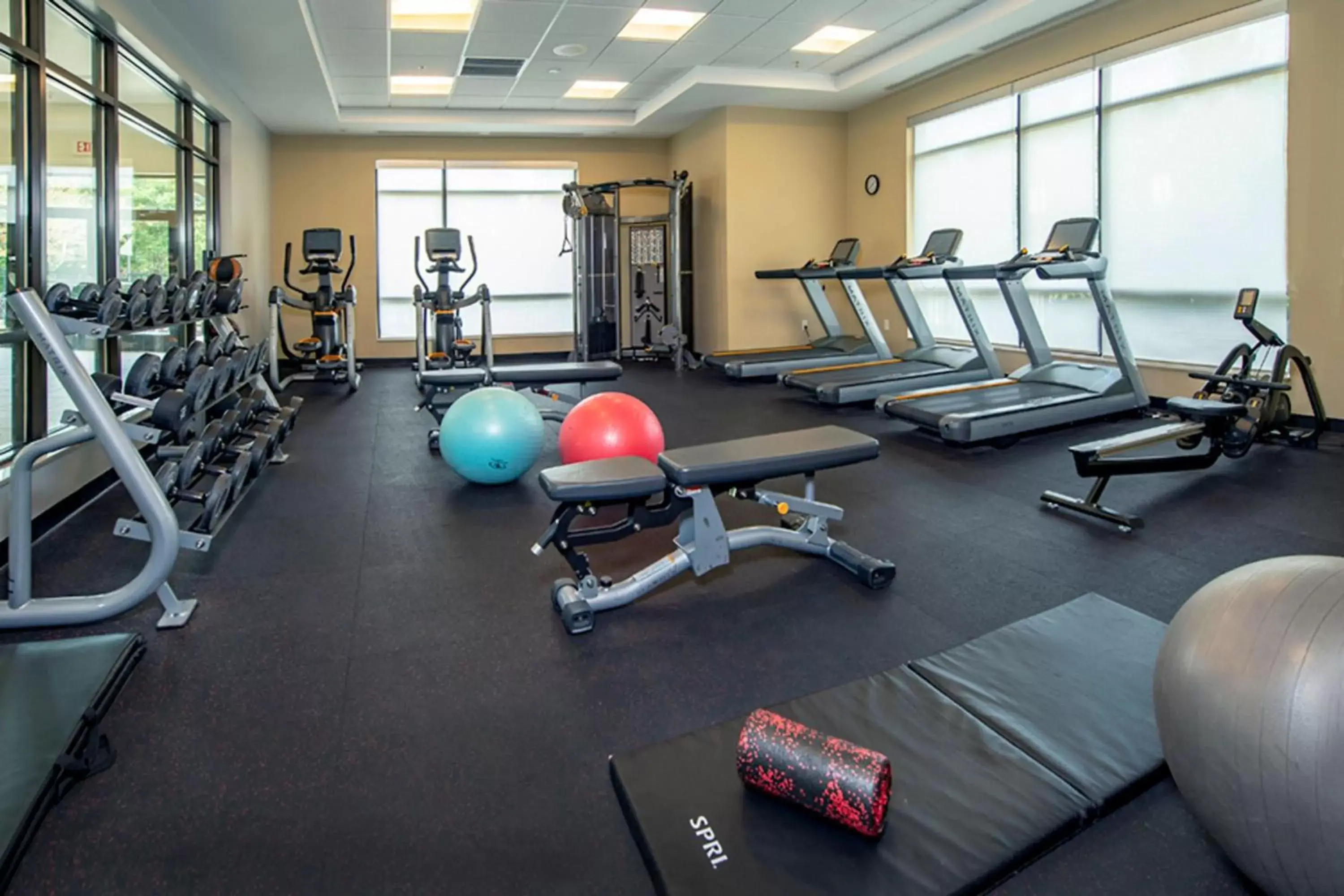 Fitness centre/facilities, Fitness Center/Facilities in TownePlace Suites by Marriott Frederick