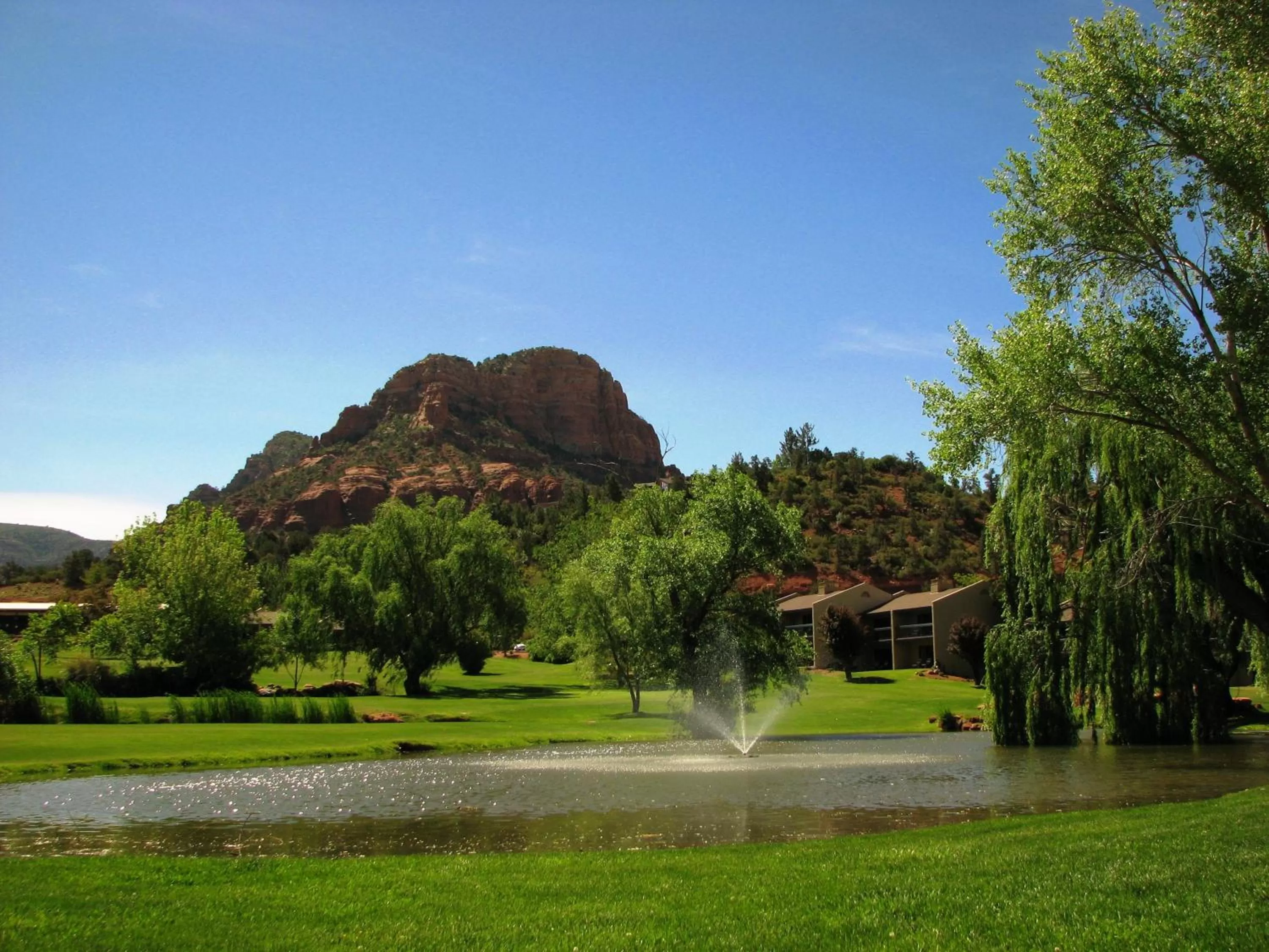 Garden in Villas at Poco Diablo
