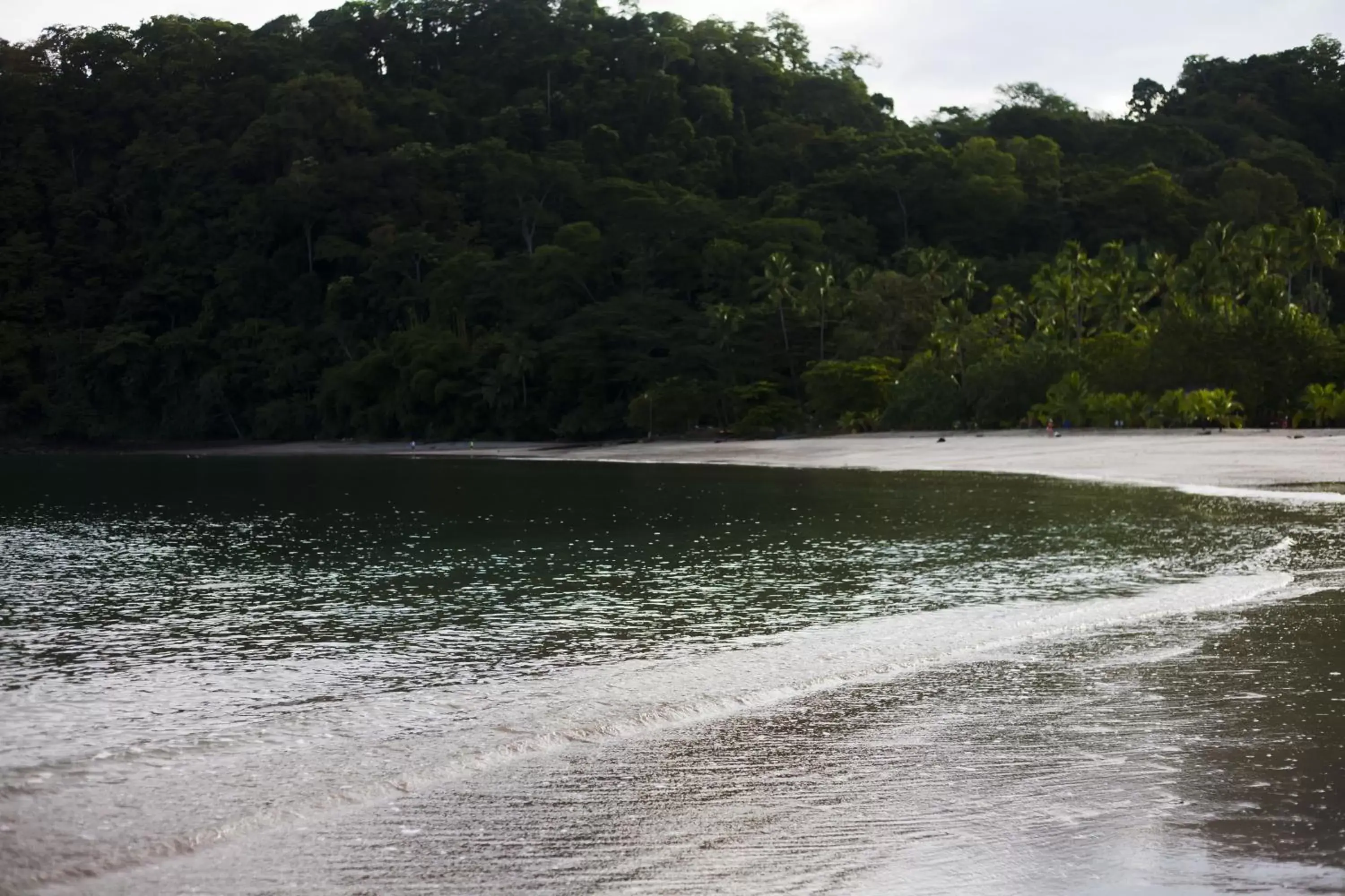 Beach in Hotel Arenas en Punta Leona