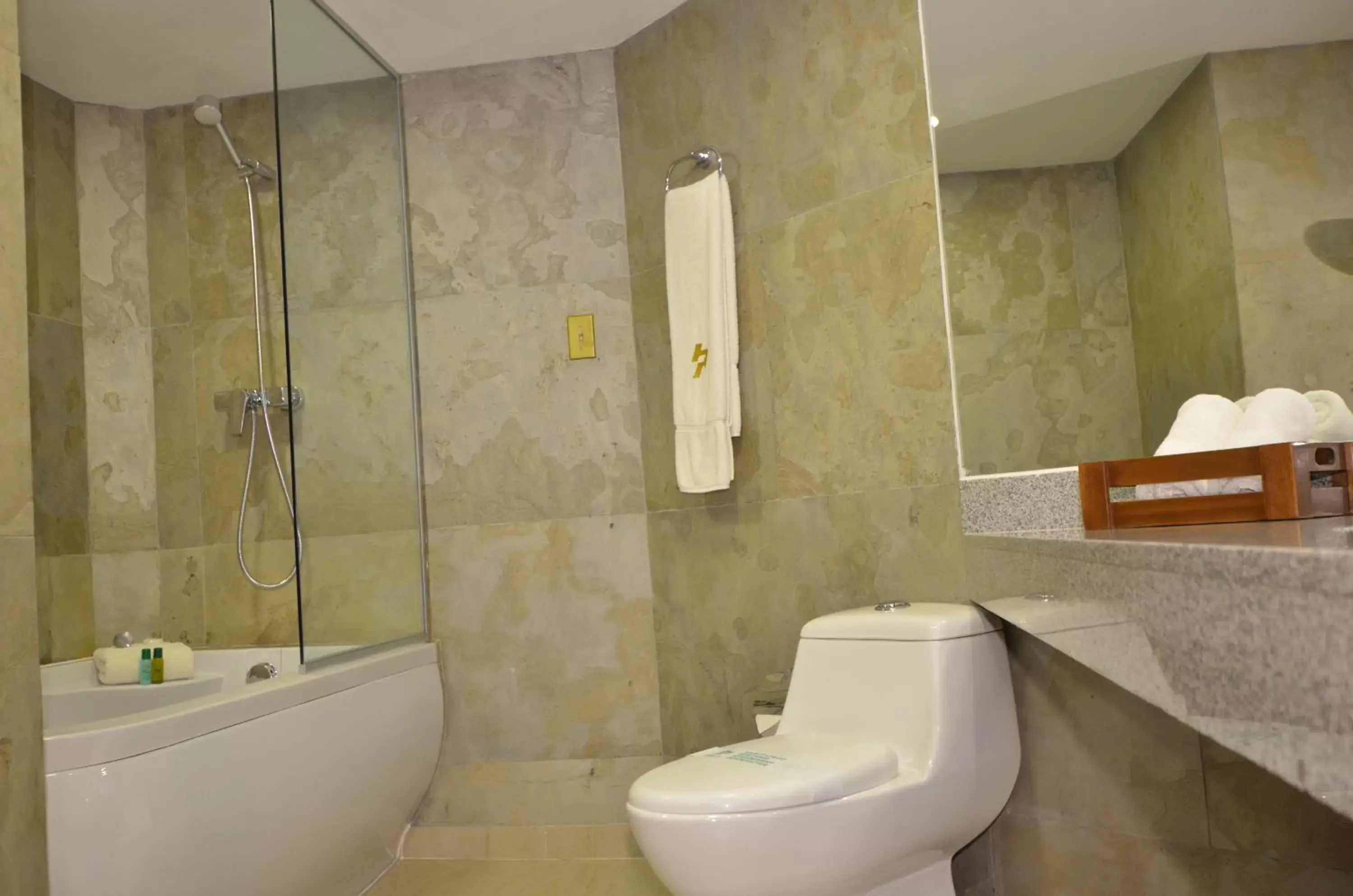 Hot Tub, Bathroom in Hotel Presidente