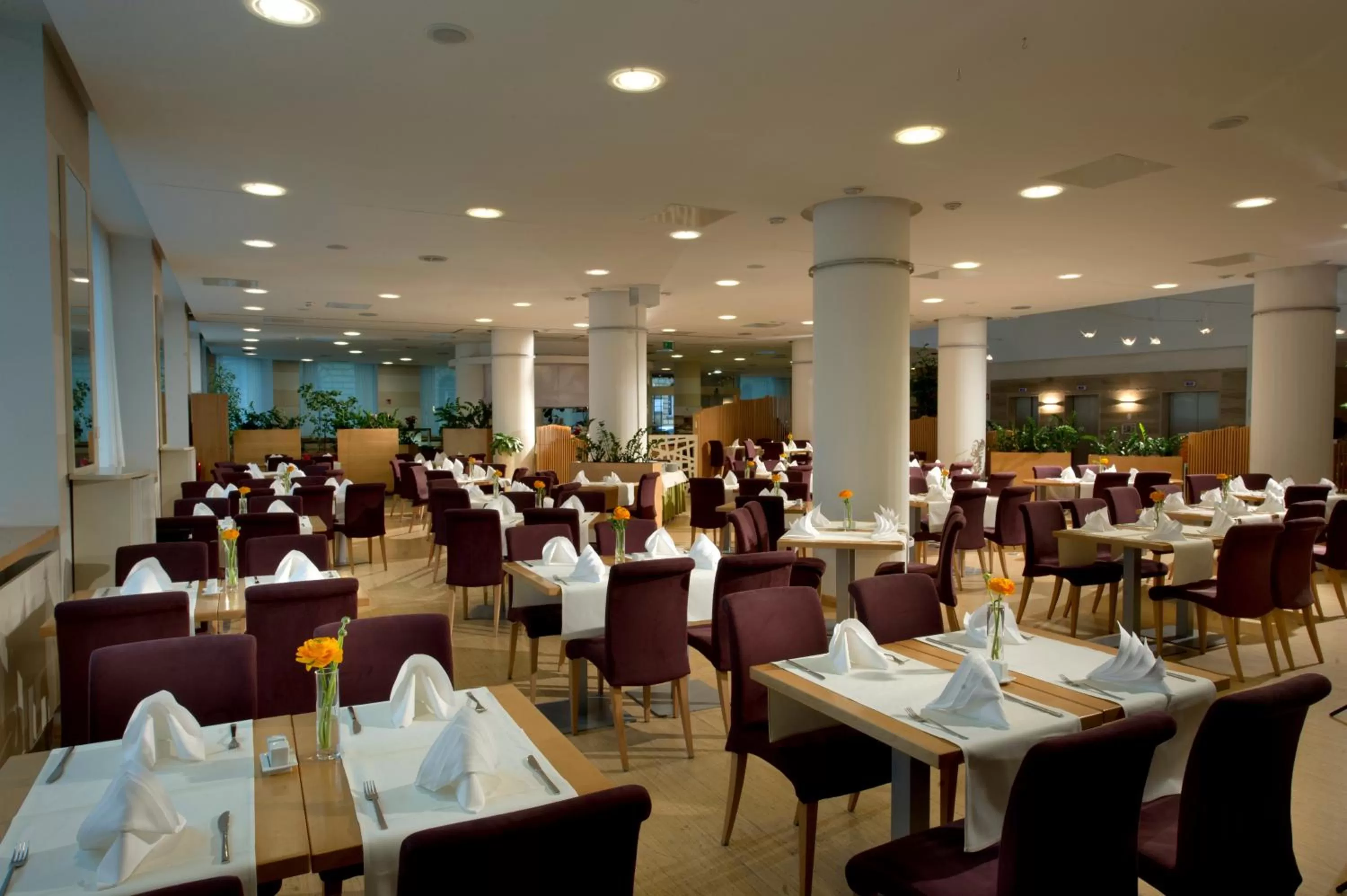 Restaurant/places to eat in City Hotel Ljubljana