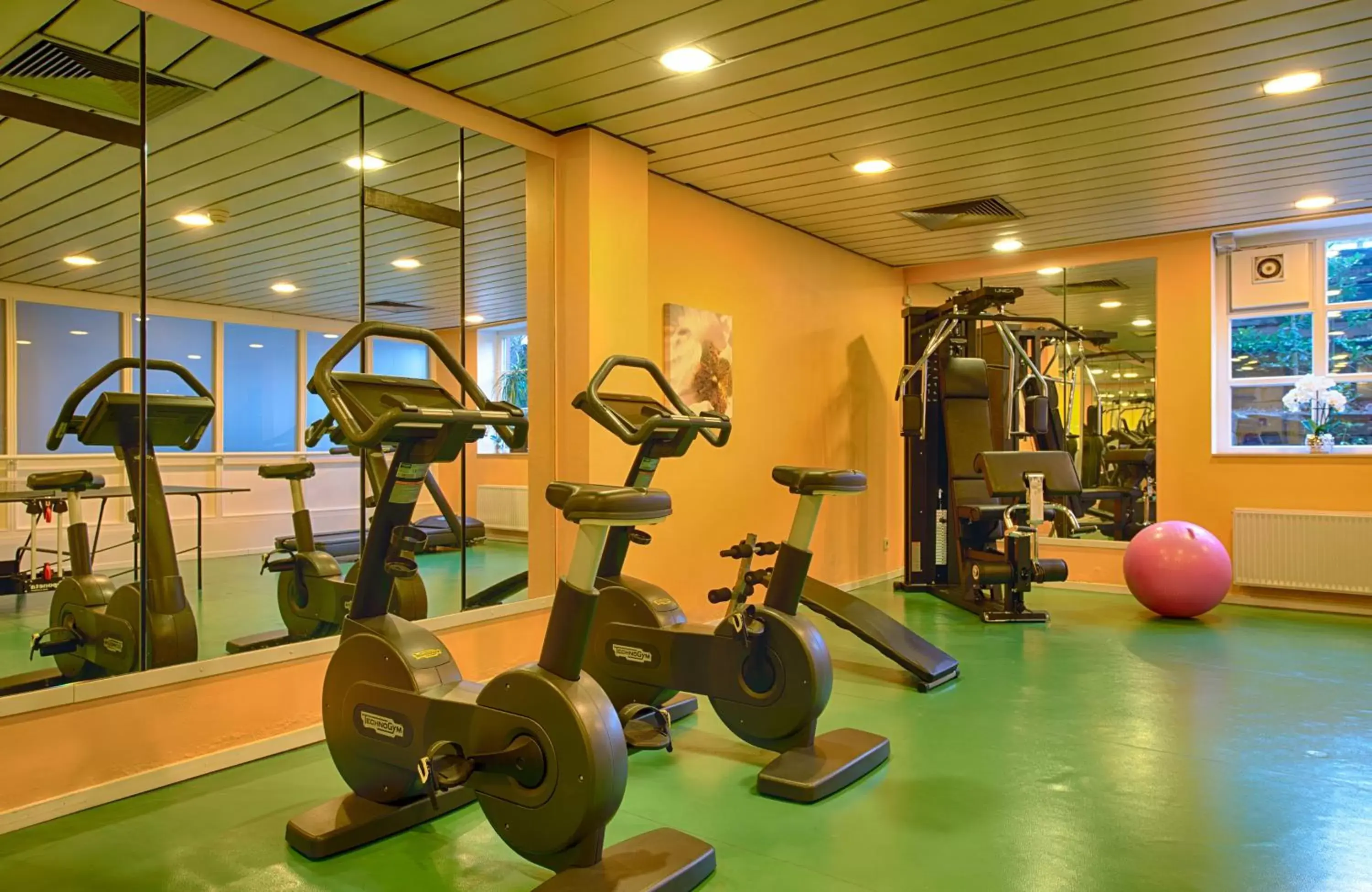 Fitness centre/facilities, Fitness Center/Facilities in Leonardo Hotel Hamburg Stillhorn