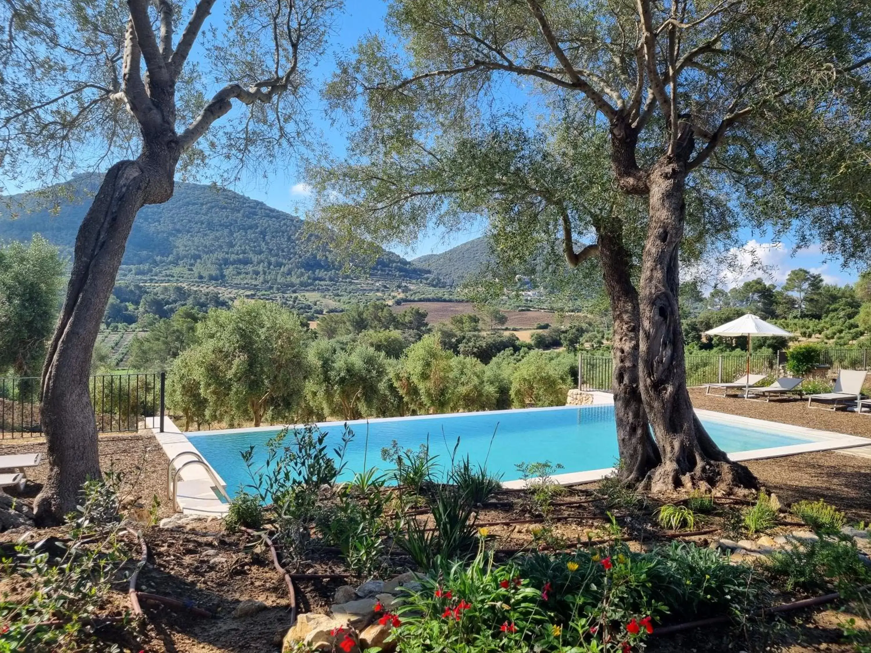 Garden, Swimming Pool in Finca Treurer - Olive Grove & Grand House - Adults Only