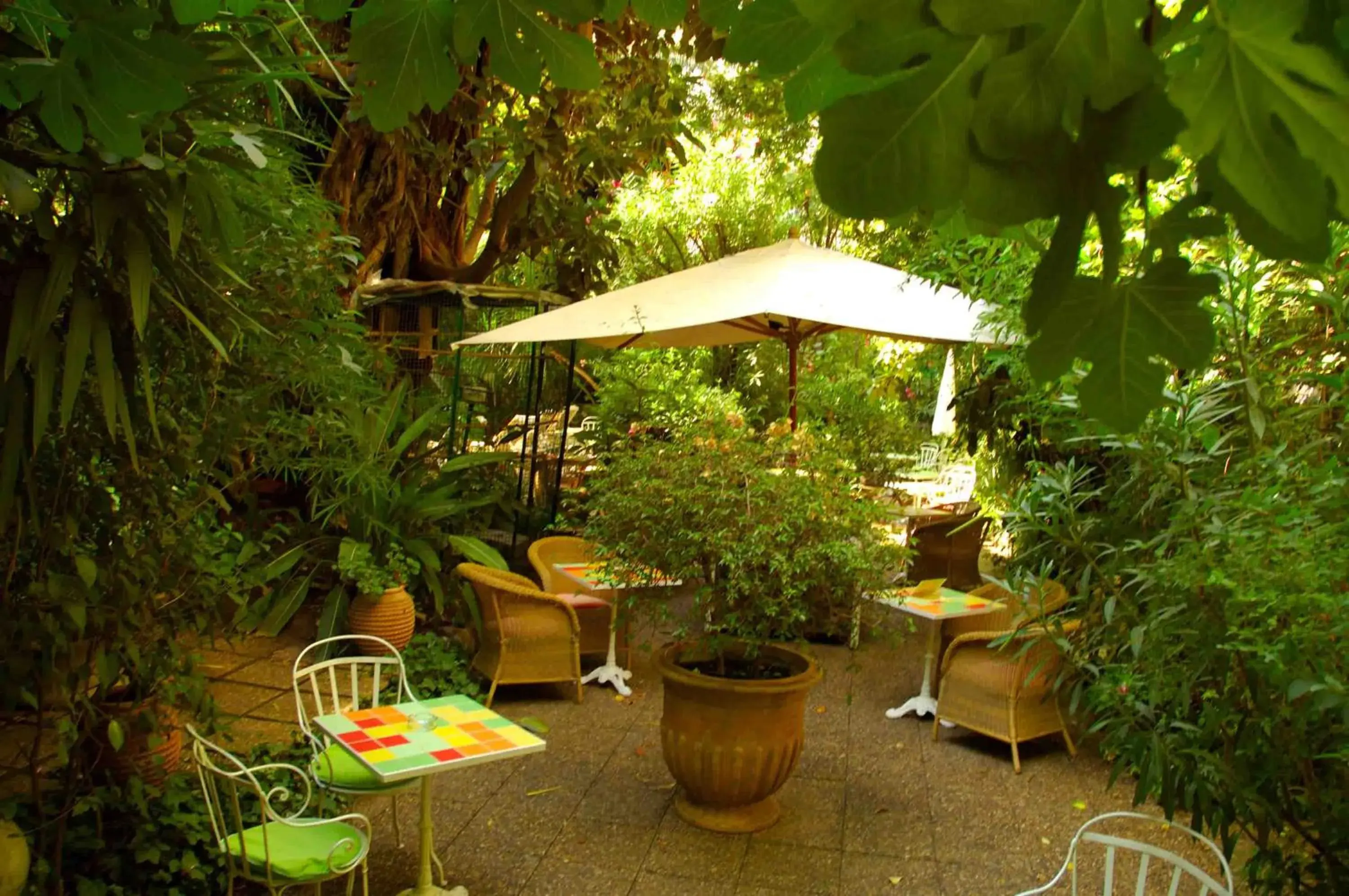 Garden in Le Windsor, Jungle Art Hotel