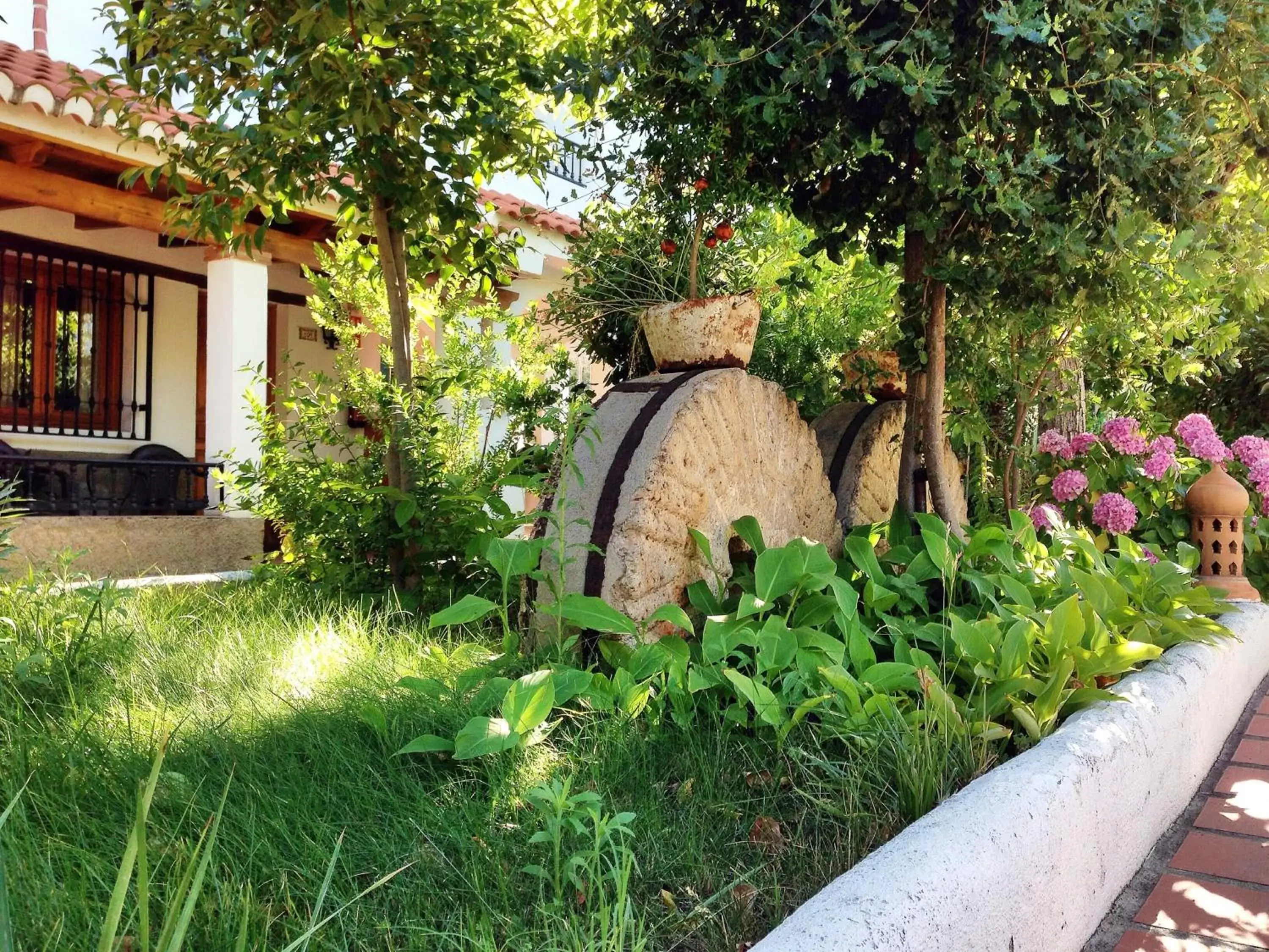 Garden in Hotel Alcadima