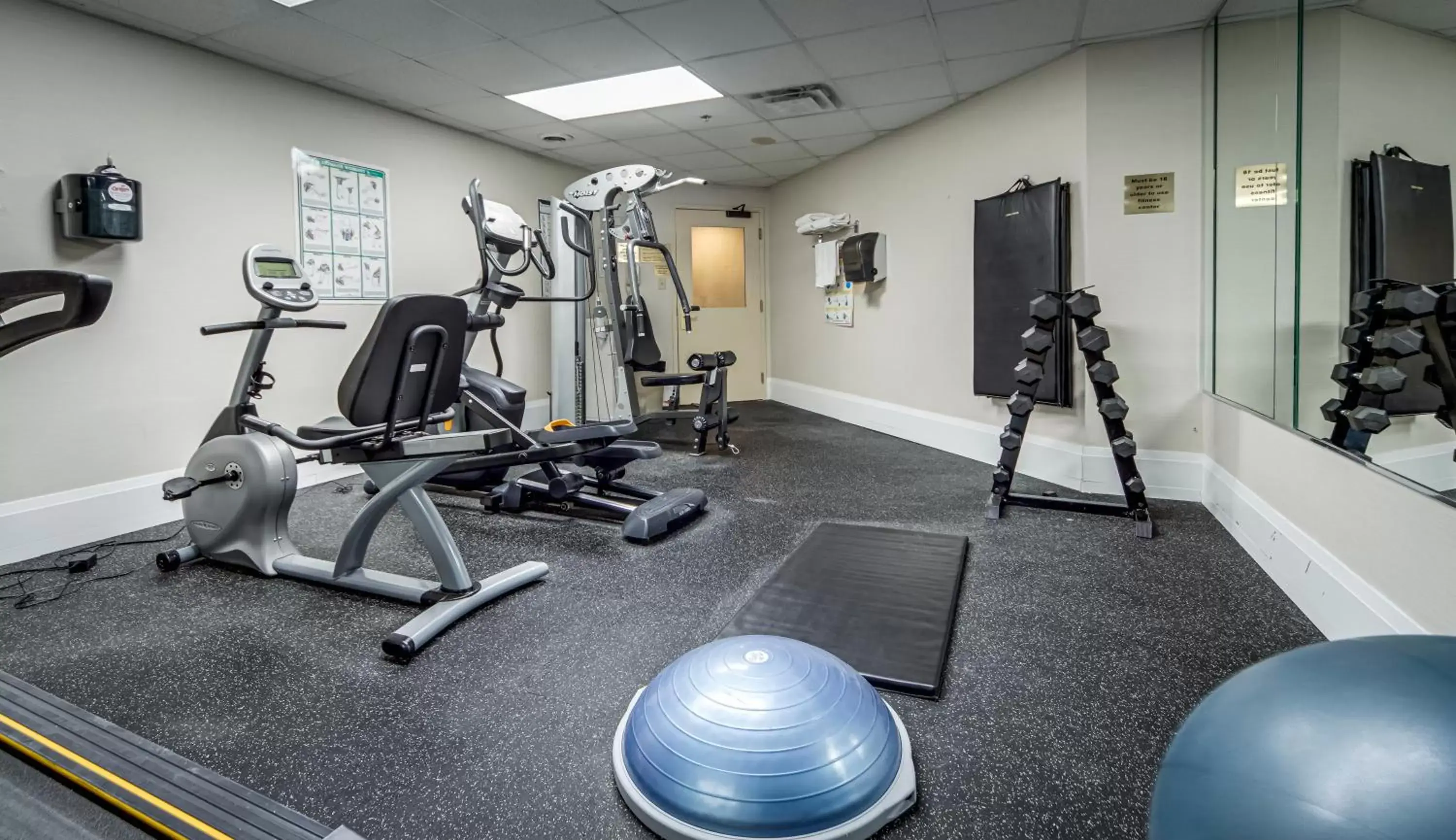 Fitness centre/facilities, Fitness Center/Facilities in Monte Carlo Inn Vaughan Suites