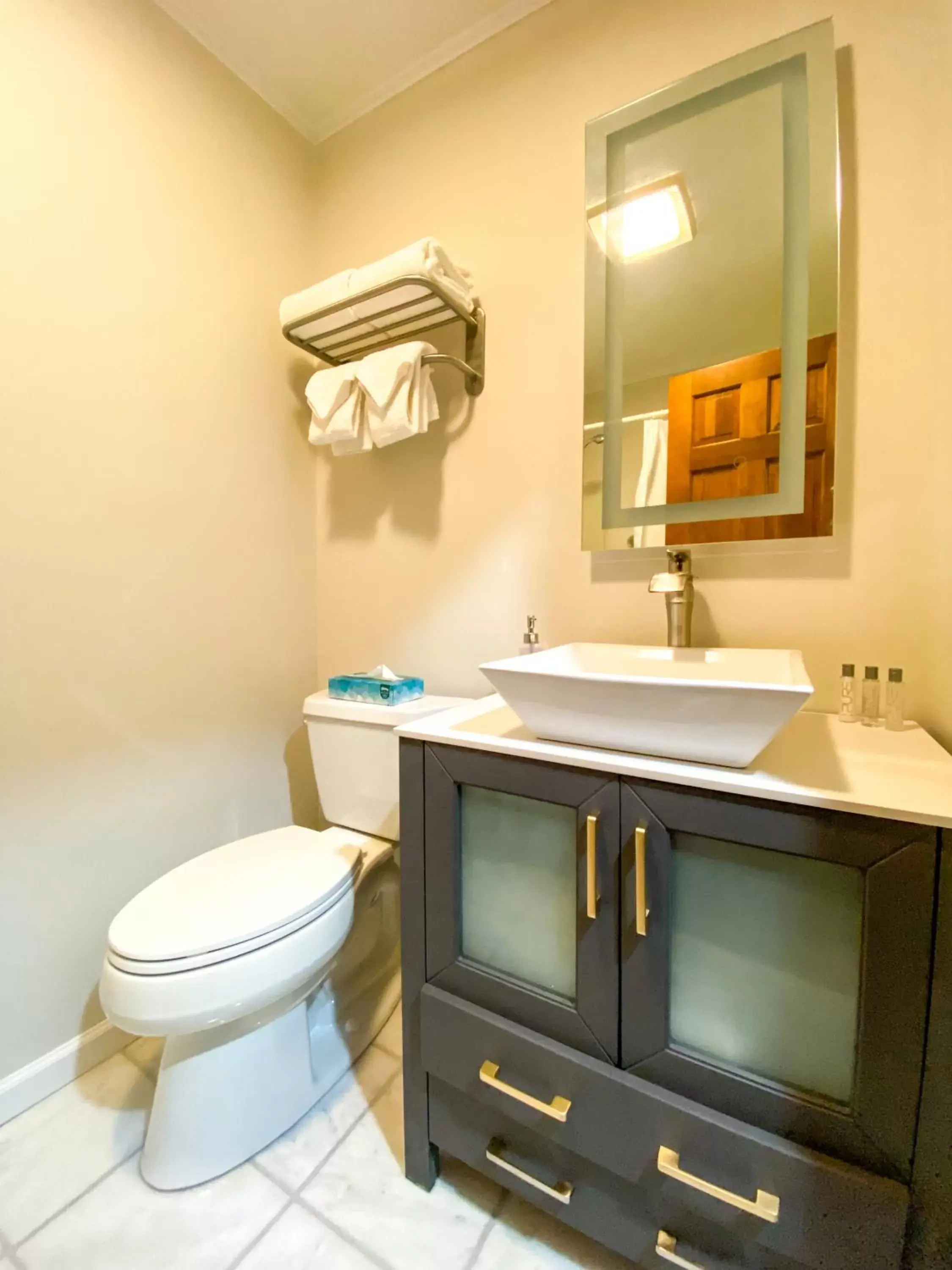 Bathroom in The Central Downtown Inn Suites