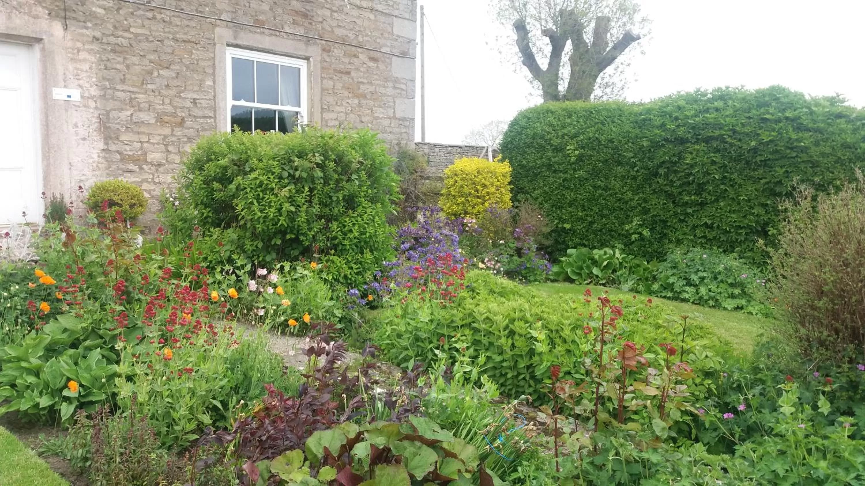 Property building in Lily Hill Farm