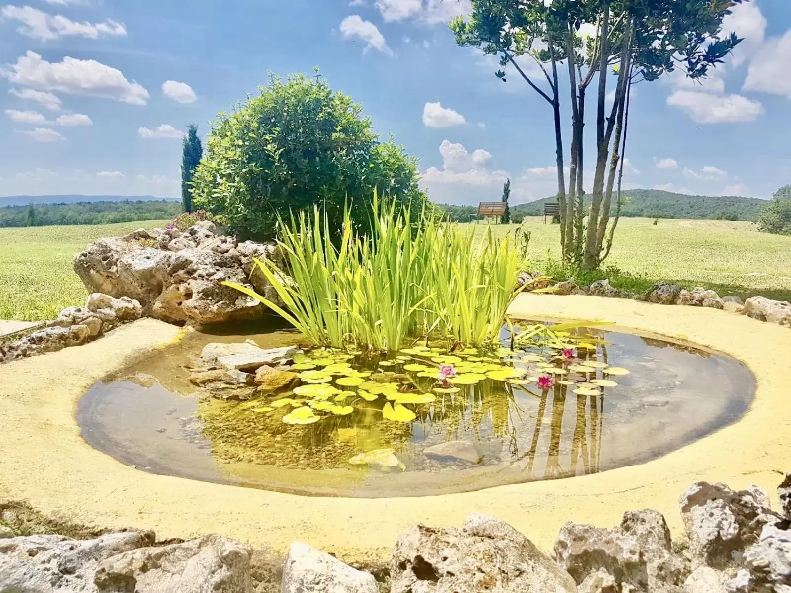 Garden in Locanda Vesuna