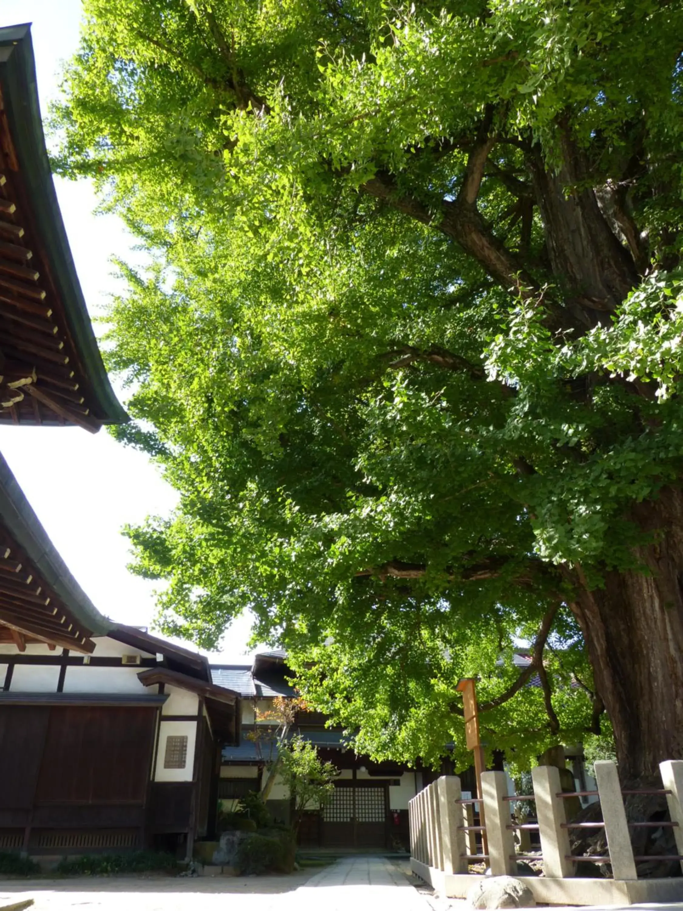 Nearby landmark in Minshuku Kuwataniya Ryokan