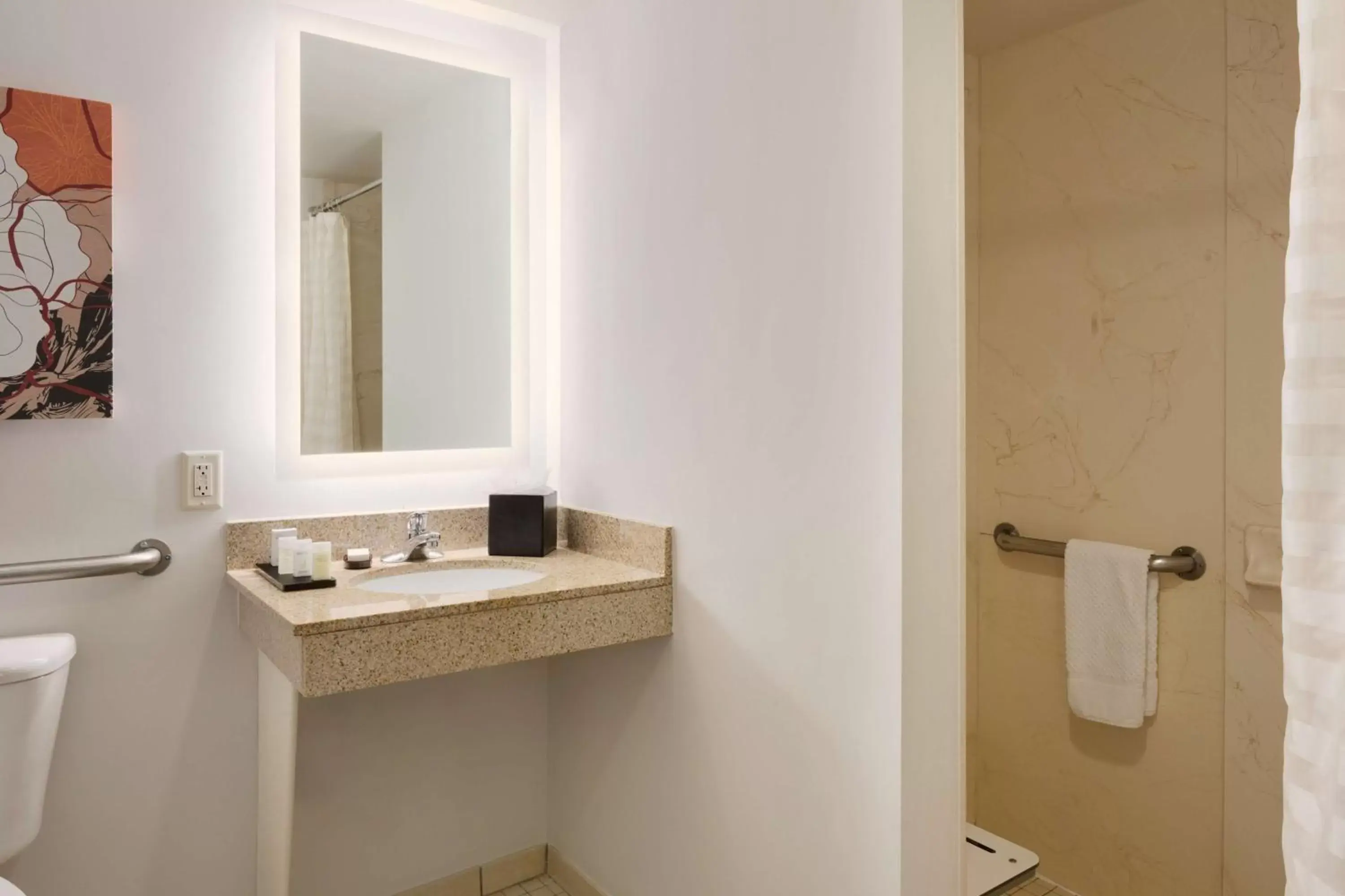 Bathroom in Embassy Suites by Hilton Denver International Airport