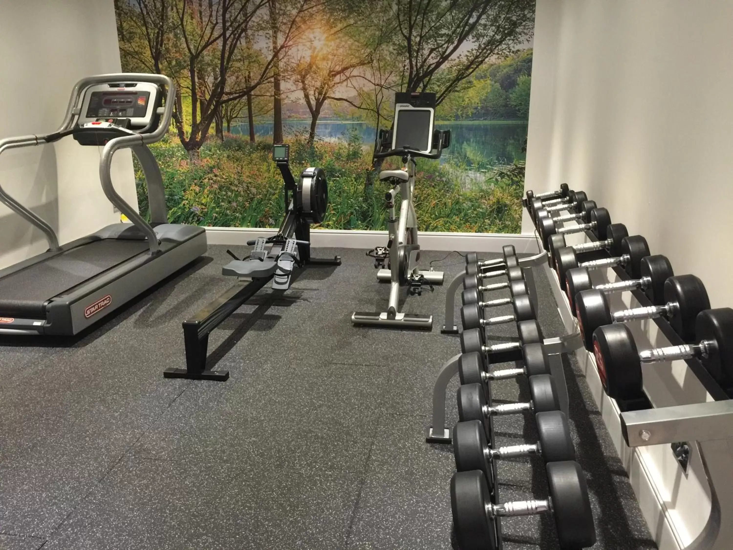 Fitness centre/facilities, Fitness Center/Facilities in The Royal George Hotel