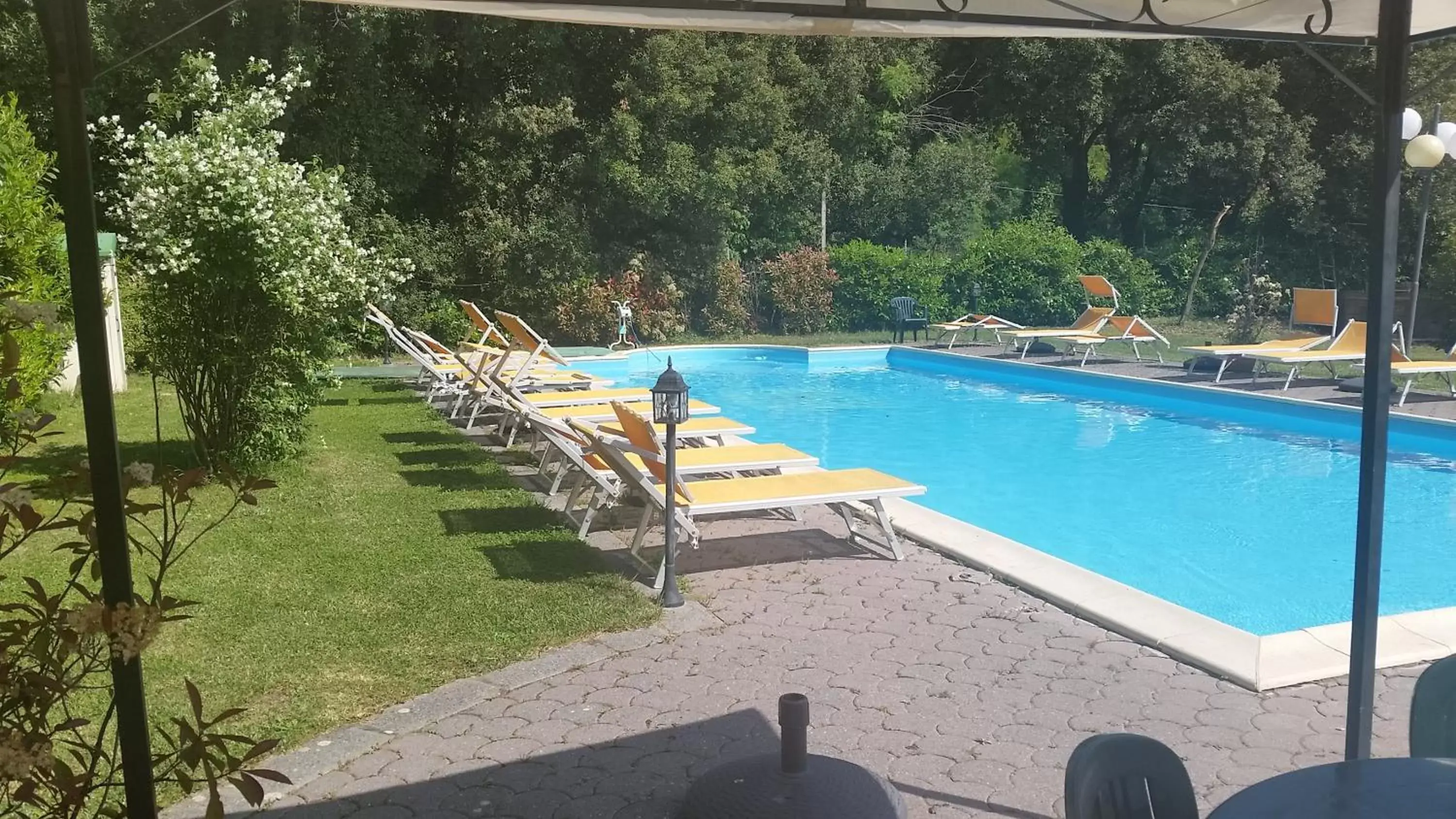 Day, Swimming Pool in Hotel Monti