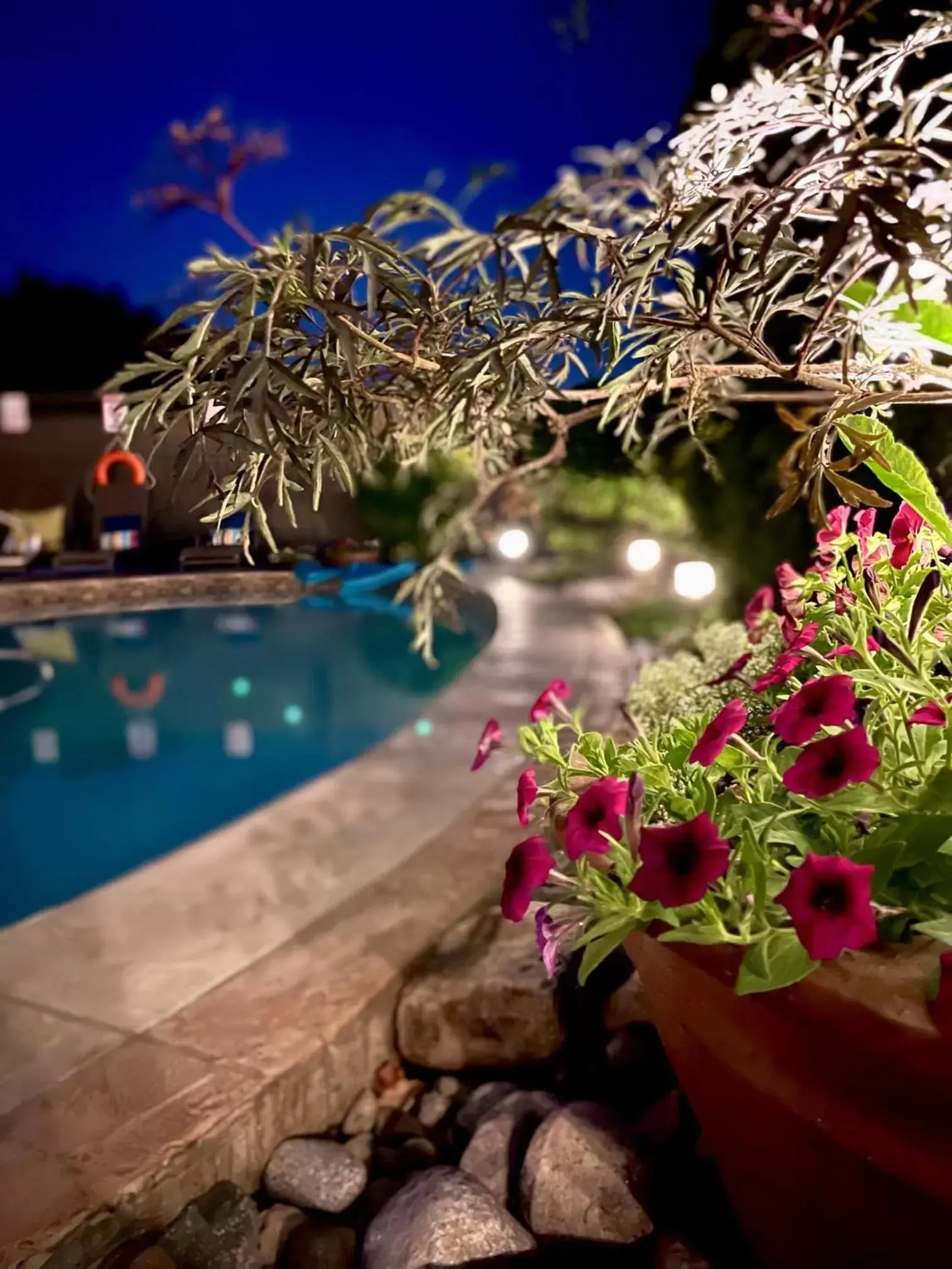 Swimming Pool in A Vista Villa Couples Retreat