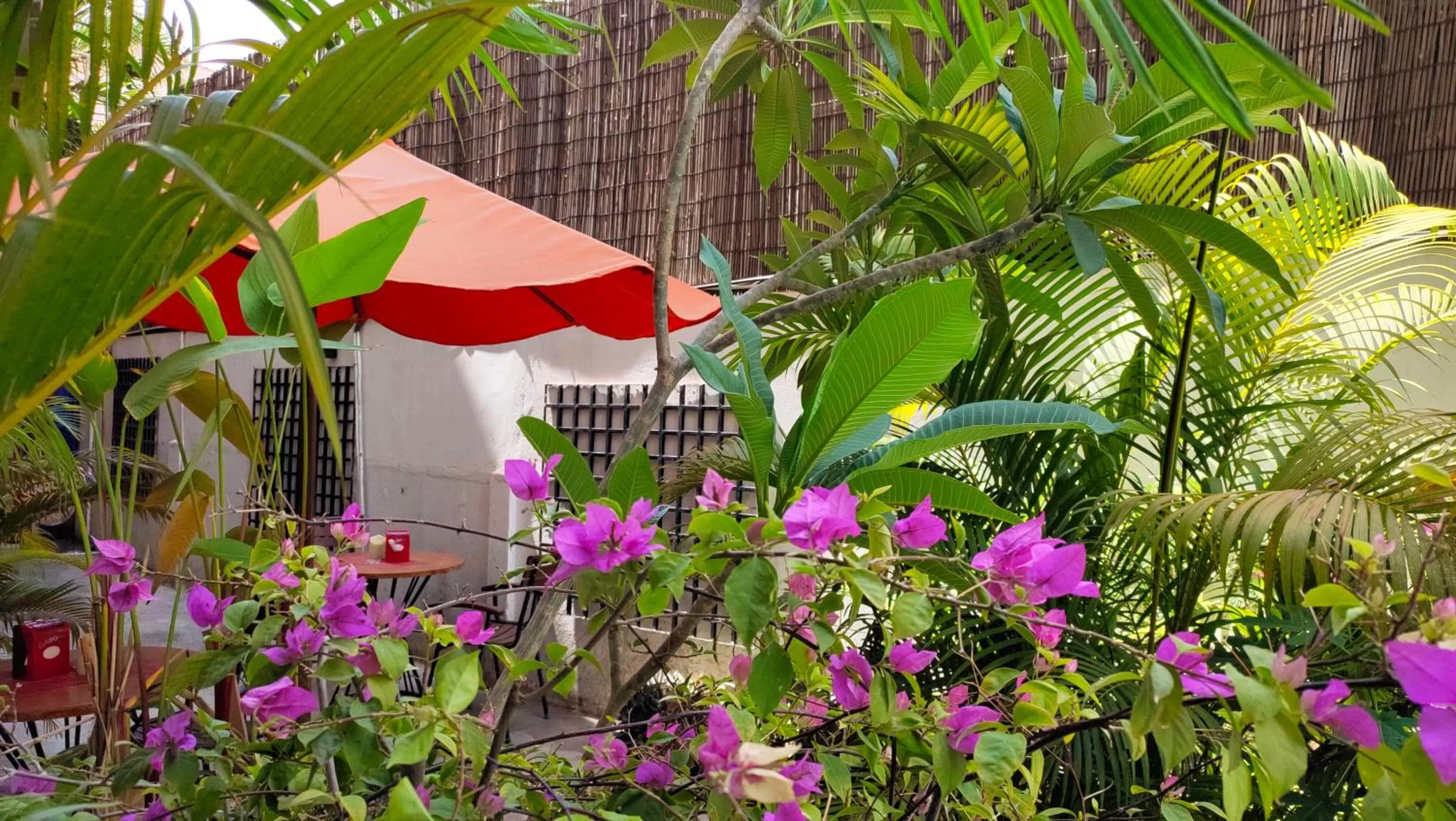 Garden in La Villa du Bonheur