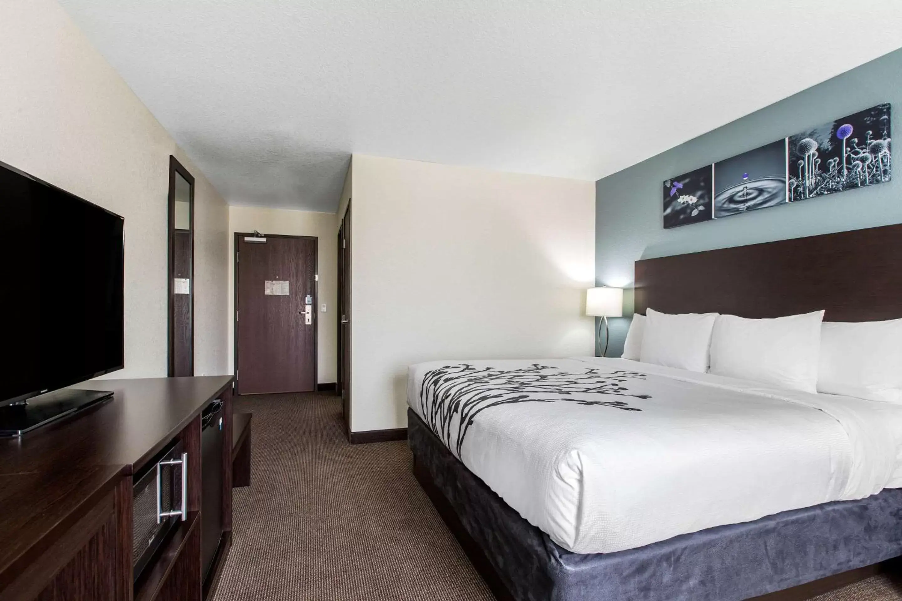 Photo of the whole room, Bed in Sleep Inn & Suites Ankeny - Des Moines