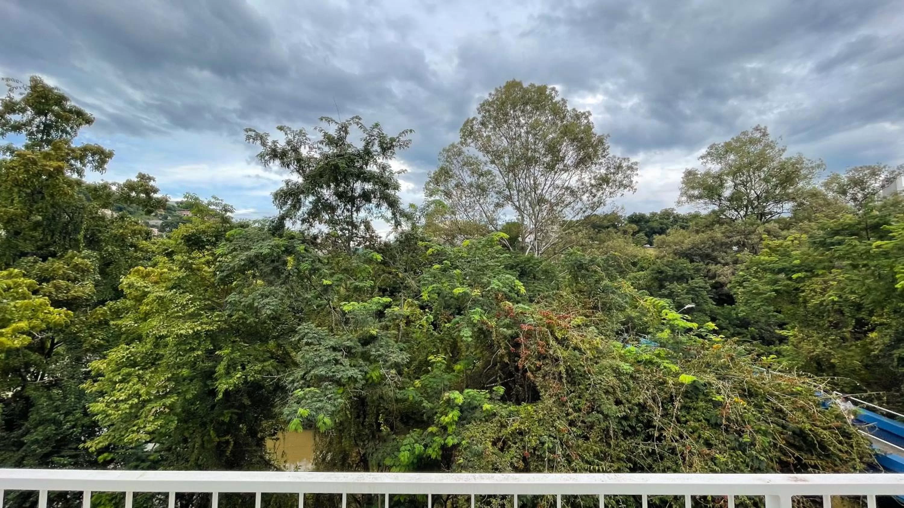 Natural landscape in Verde Vale Hotel