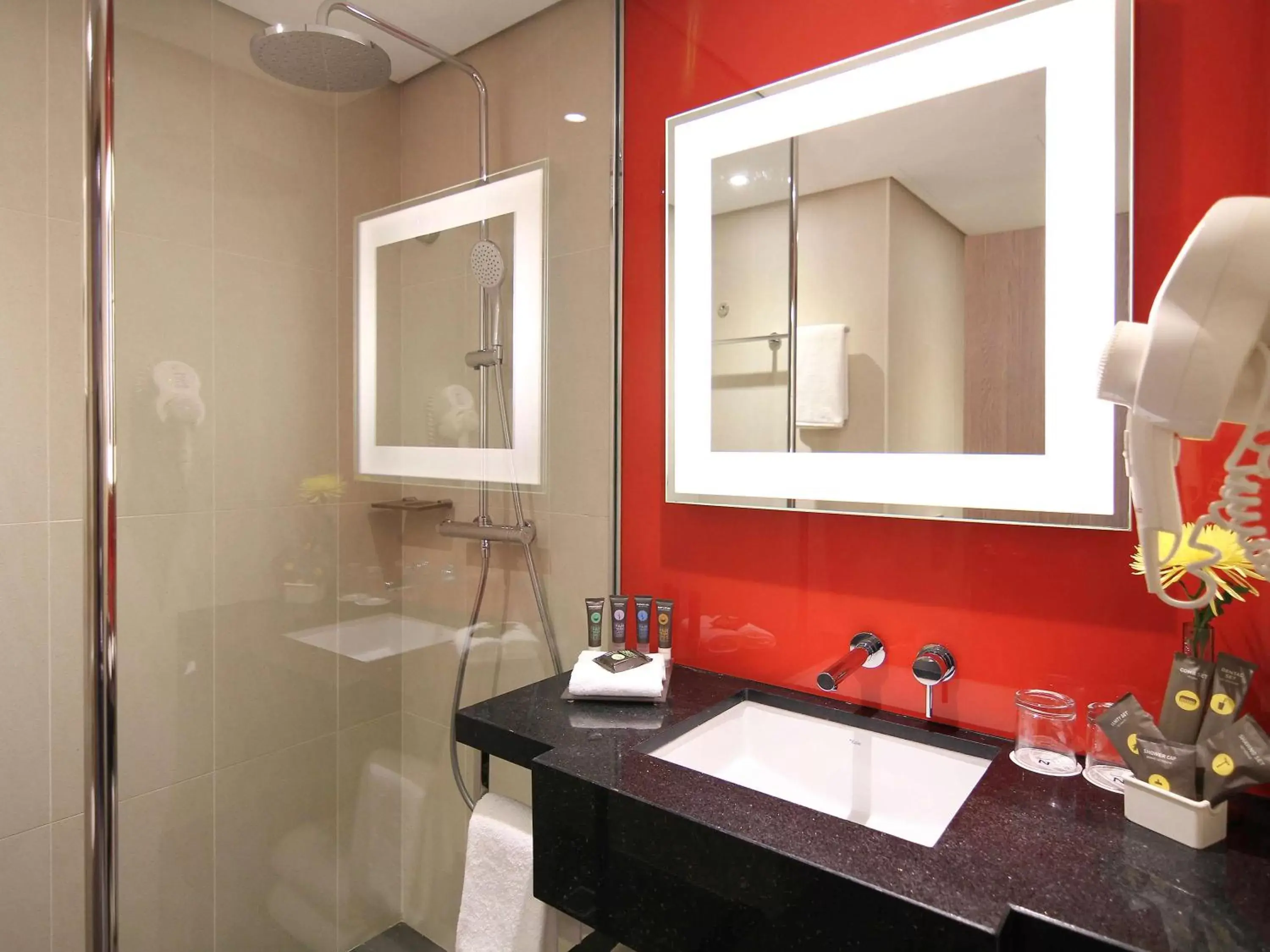 Photo of the whole room, Bathroom in Novotel World Trade Centre Dubai