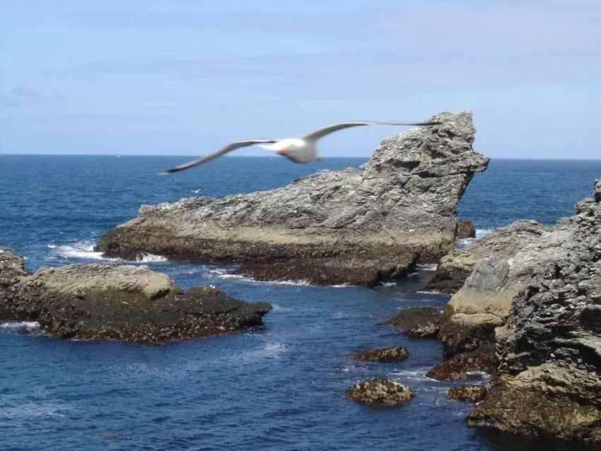 Sea view in ty dreux entre terre et mer