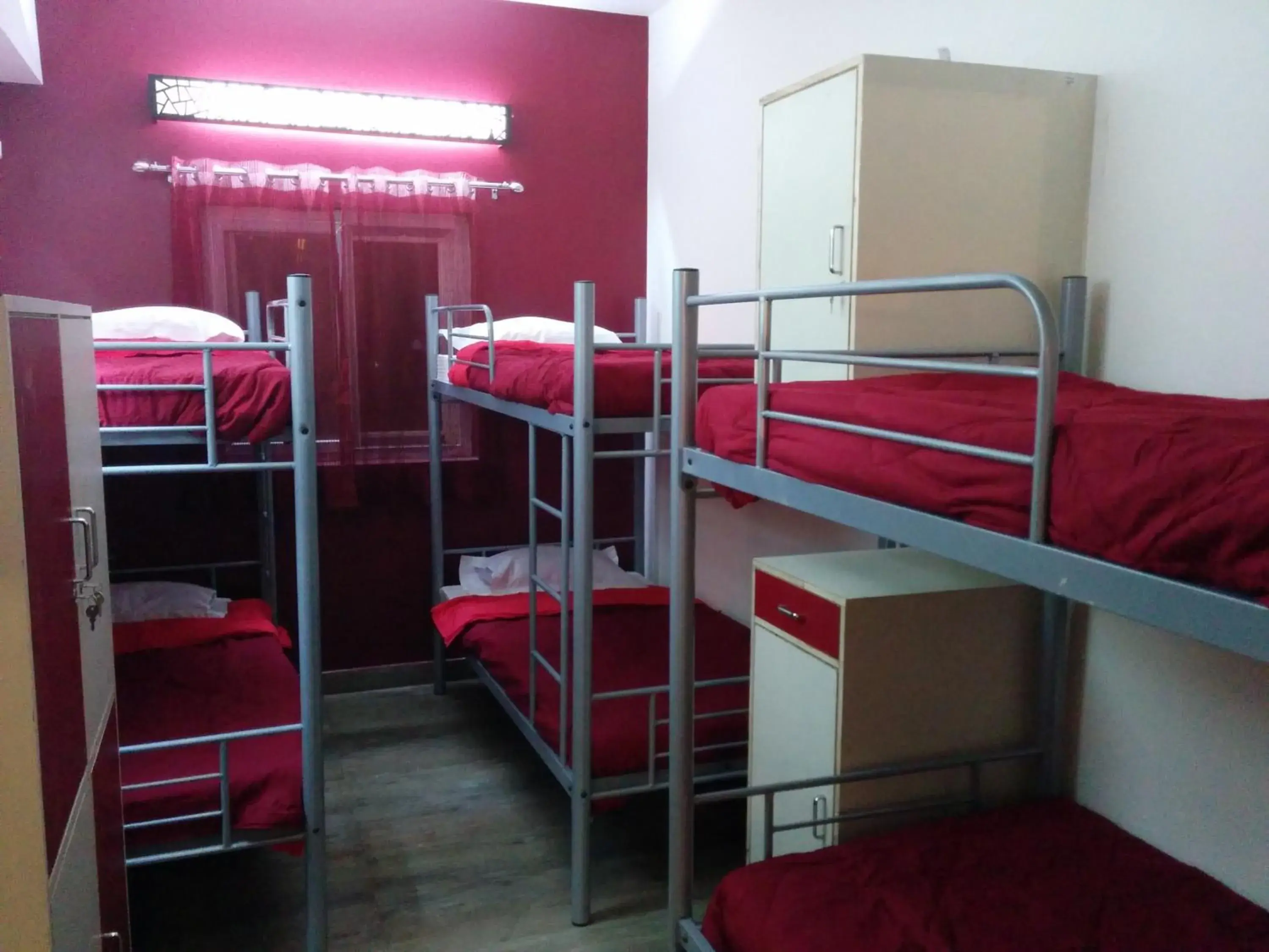 Bed, Bunk Bed in Joeys Hostel