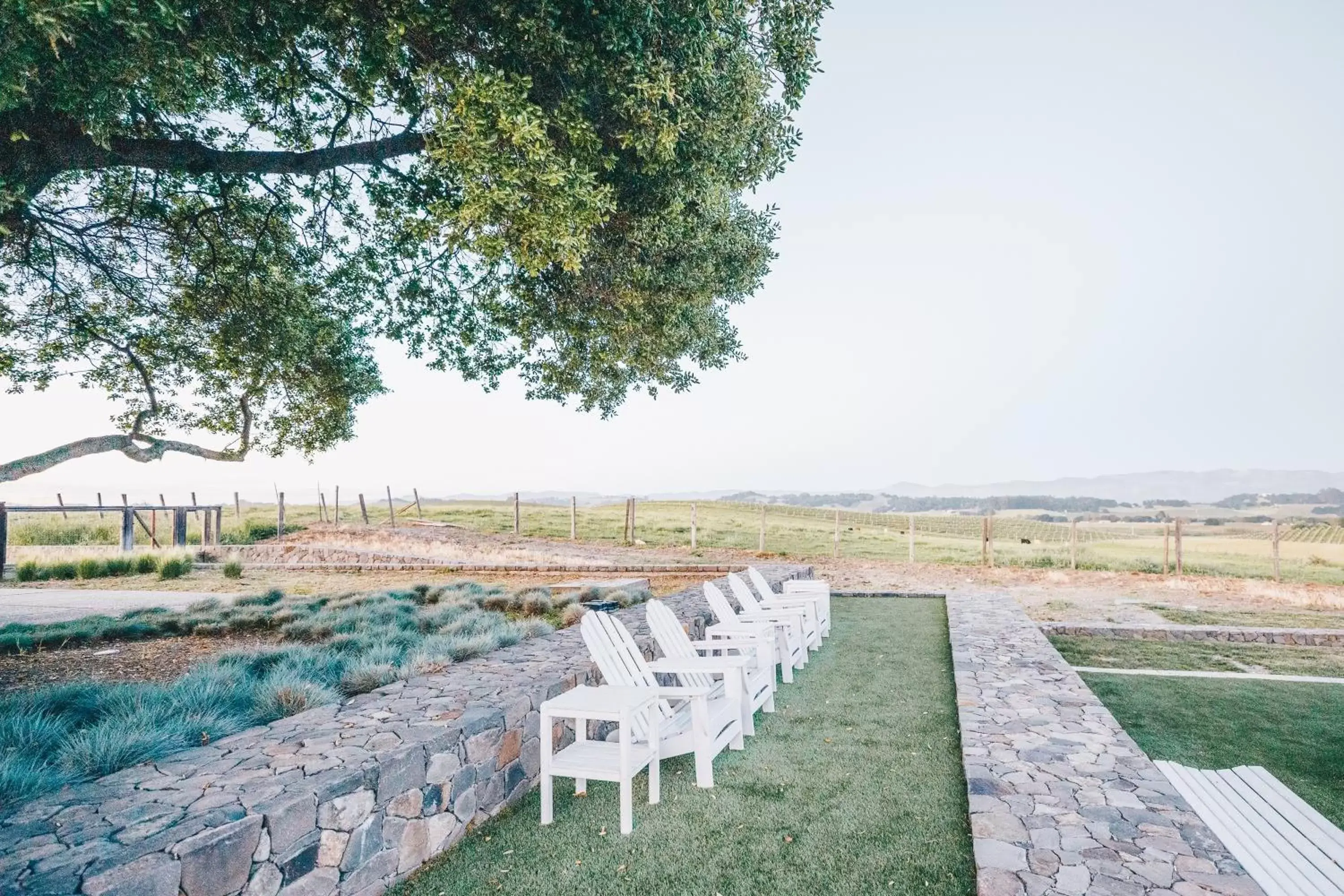 Natural landscape in Carneros Resort and Spa