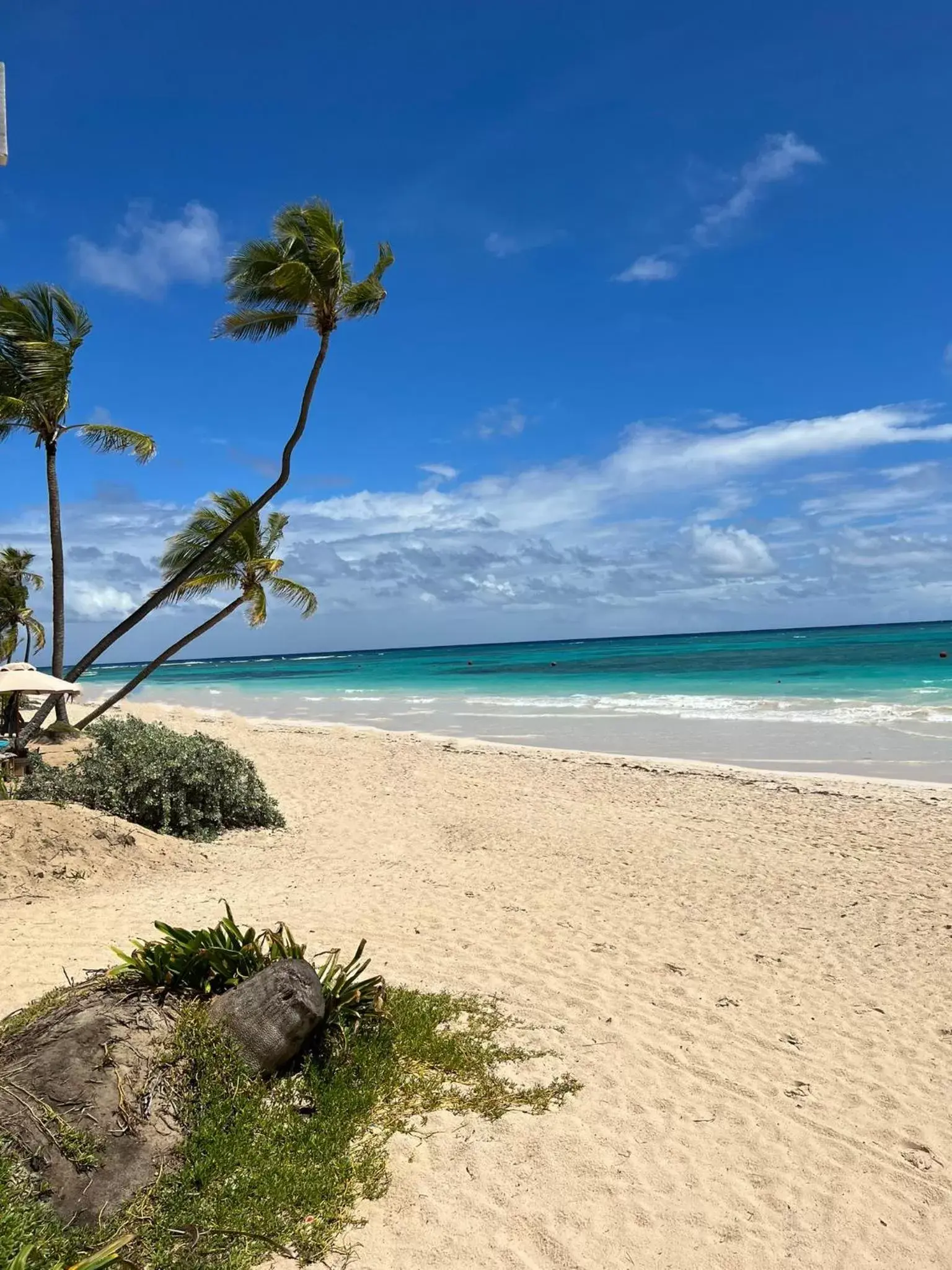 Beach in Sunset Boutique Hotel All Suites