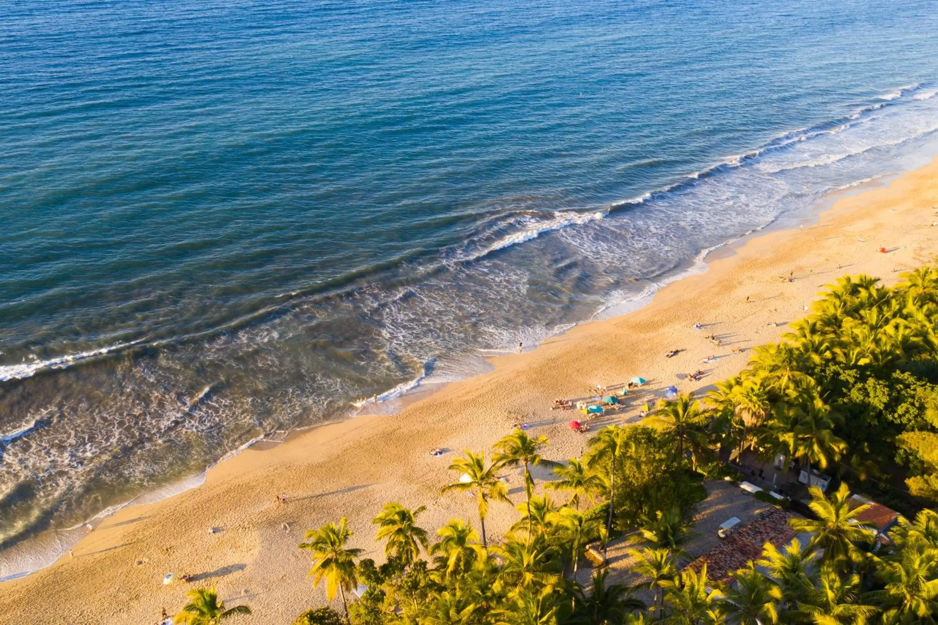 Horse-riding, Beach in AzulPitaya Beach Front Hotel in Sayulita