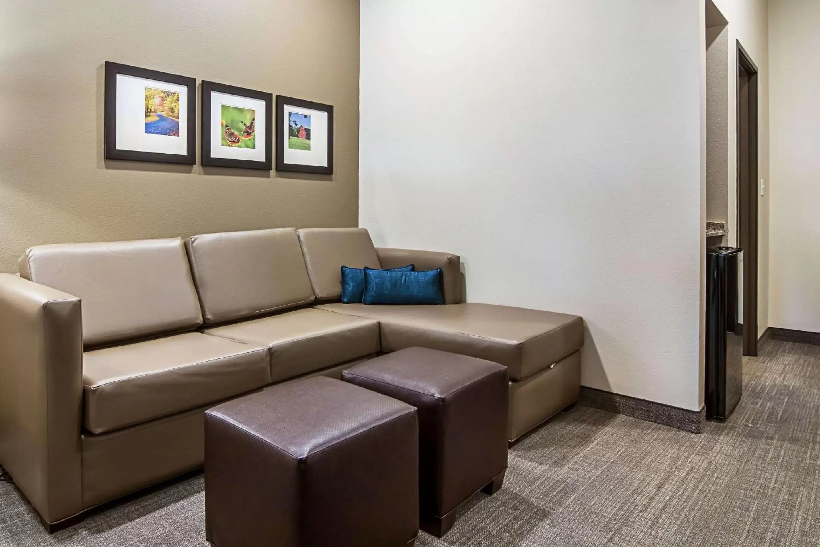 Photo of the whole room, Seating Area in Comfort Suites