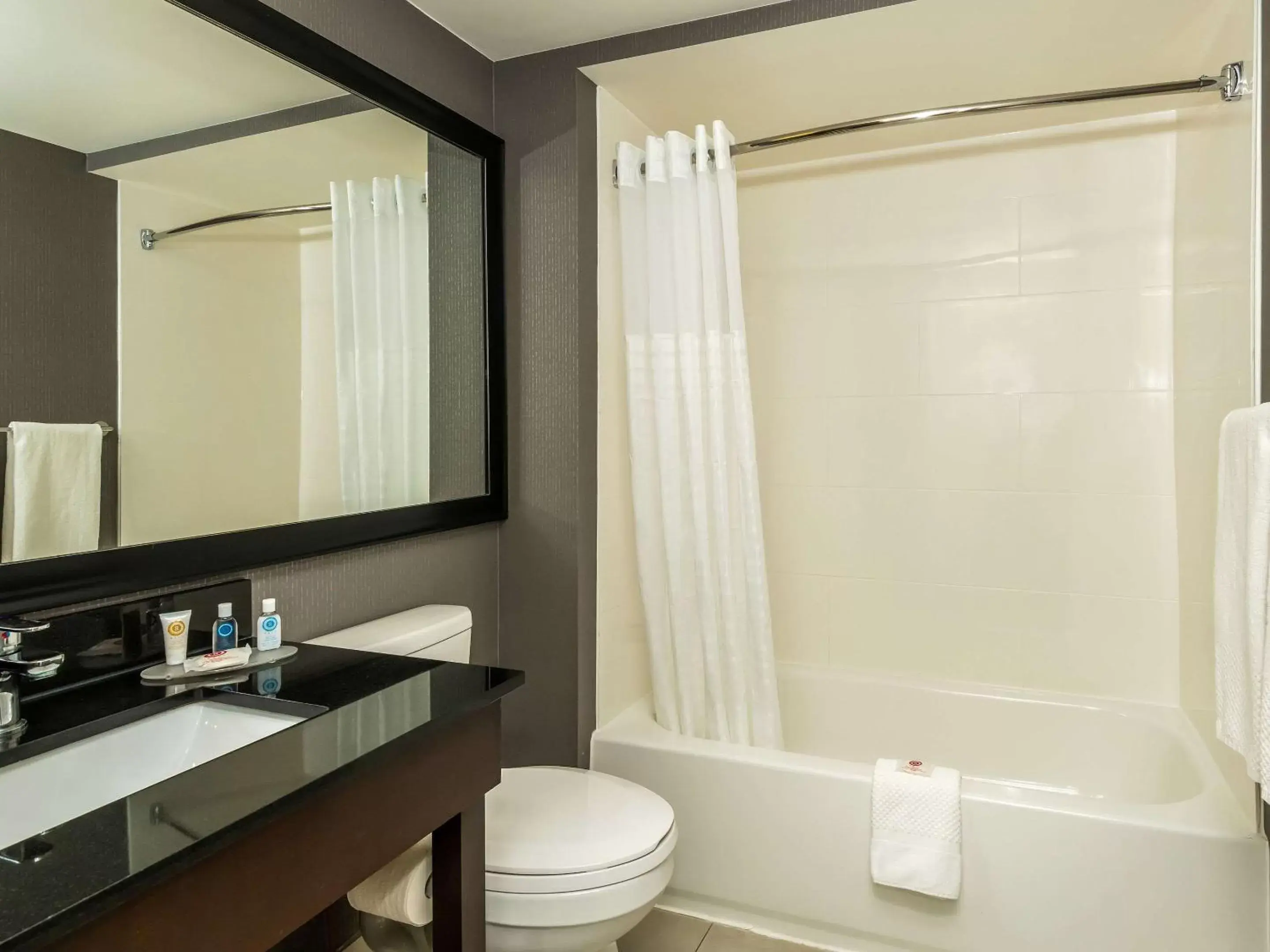 Bathroom in Comfort Inn Ottawa West- Kanata