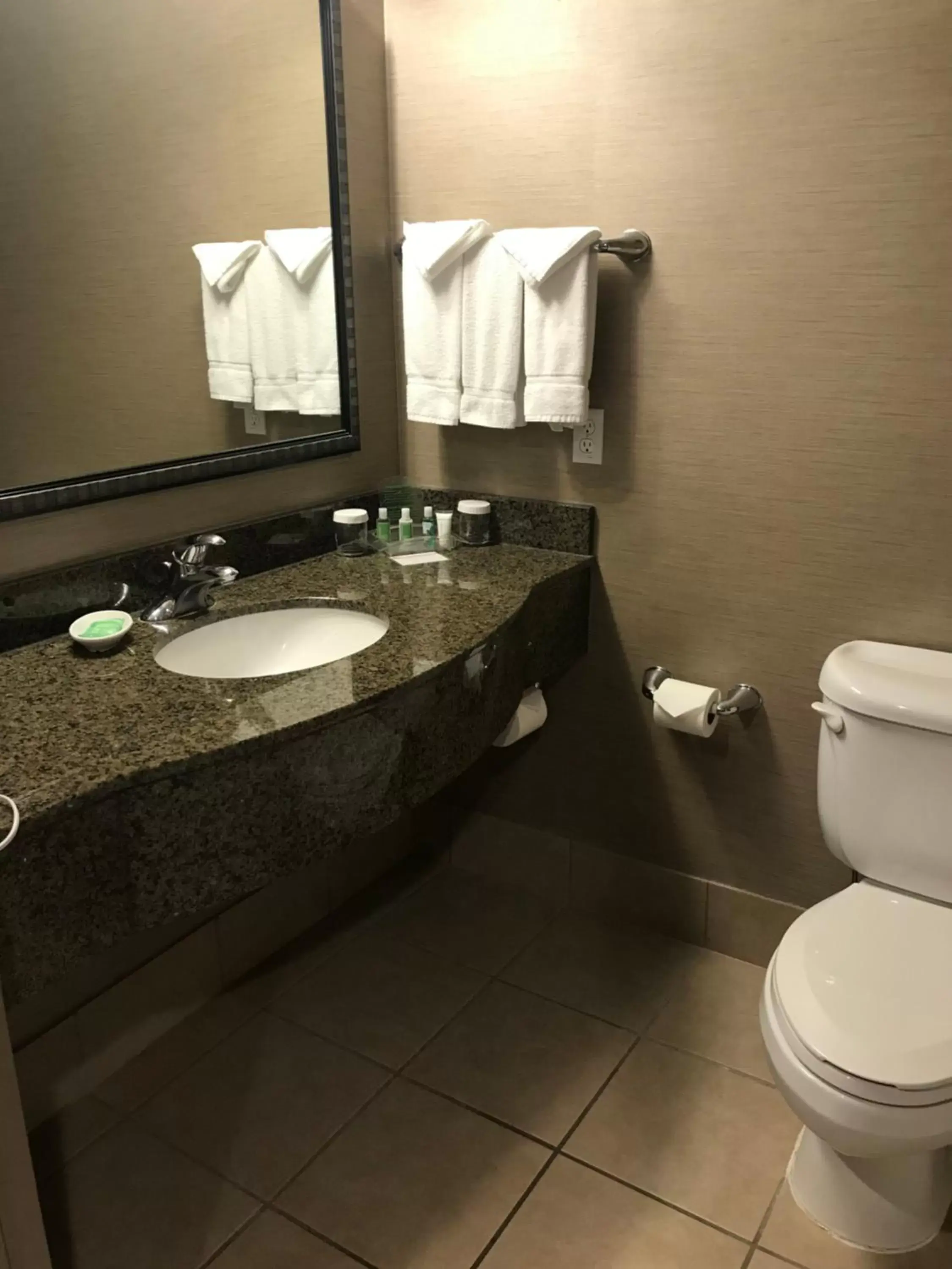 Public Bath, Bathroom in Holiday Inn Hotel and Suites Albuquerque - North Interstate 25, an IHG Hotel