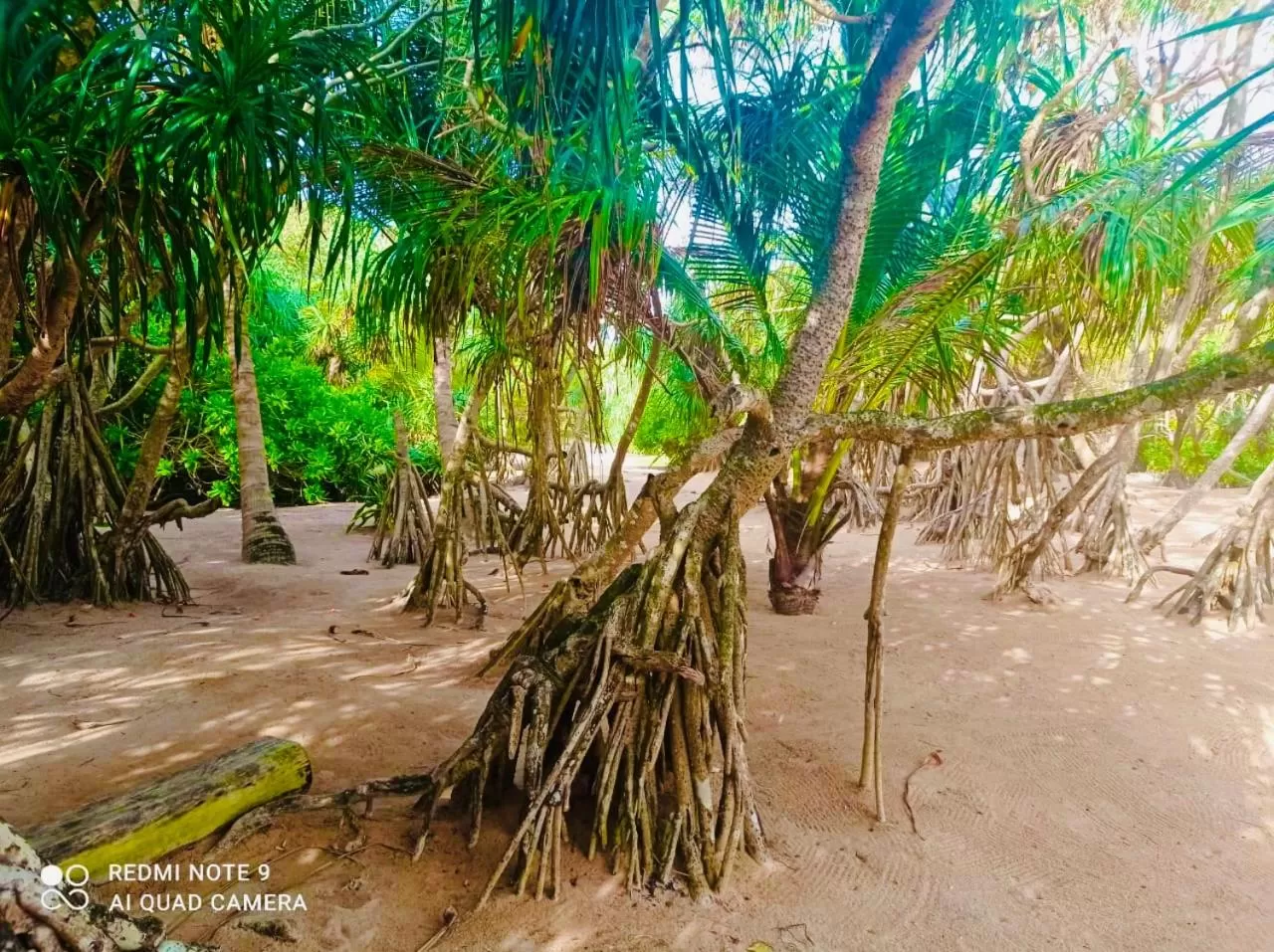 Beach in Manel Villa