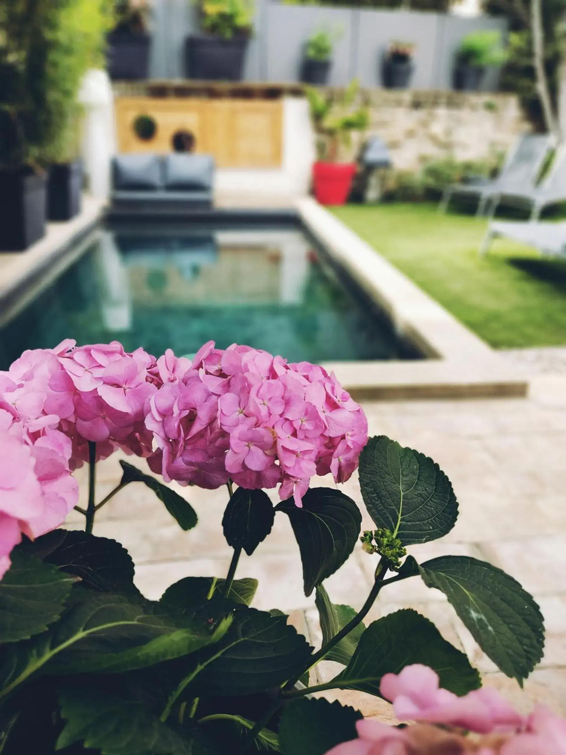 Garden in La Maison Grivolas