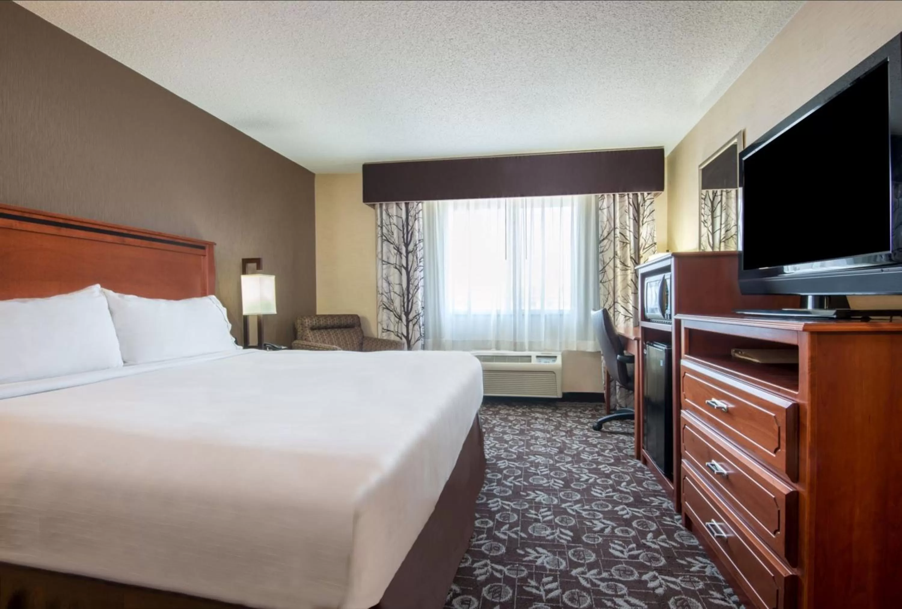 Photo of the whole room, Bed in Holiday Inn Express Casper I-25 by IHG