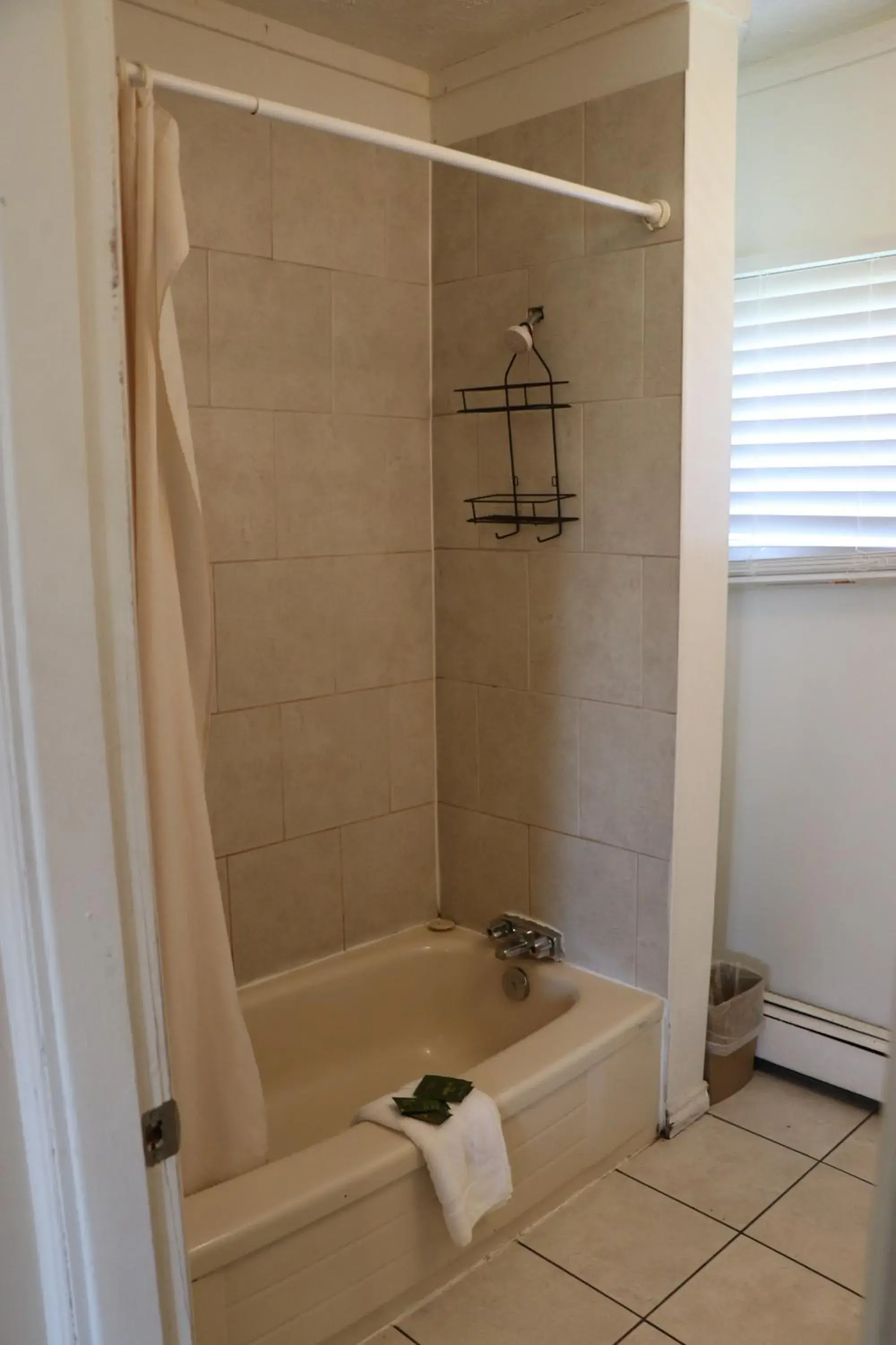 Shower, Bathroom in Falcon Inn