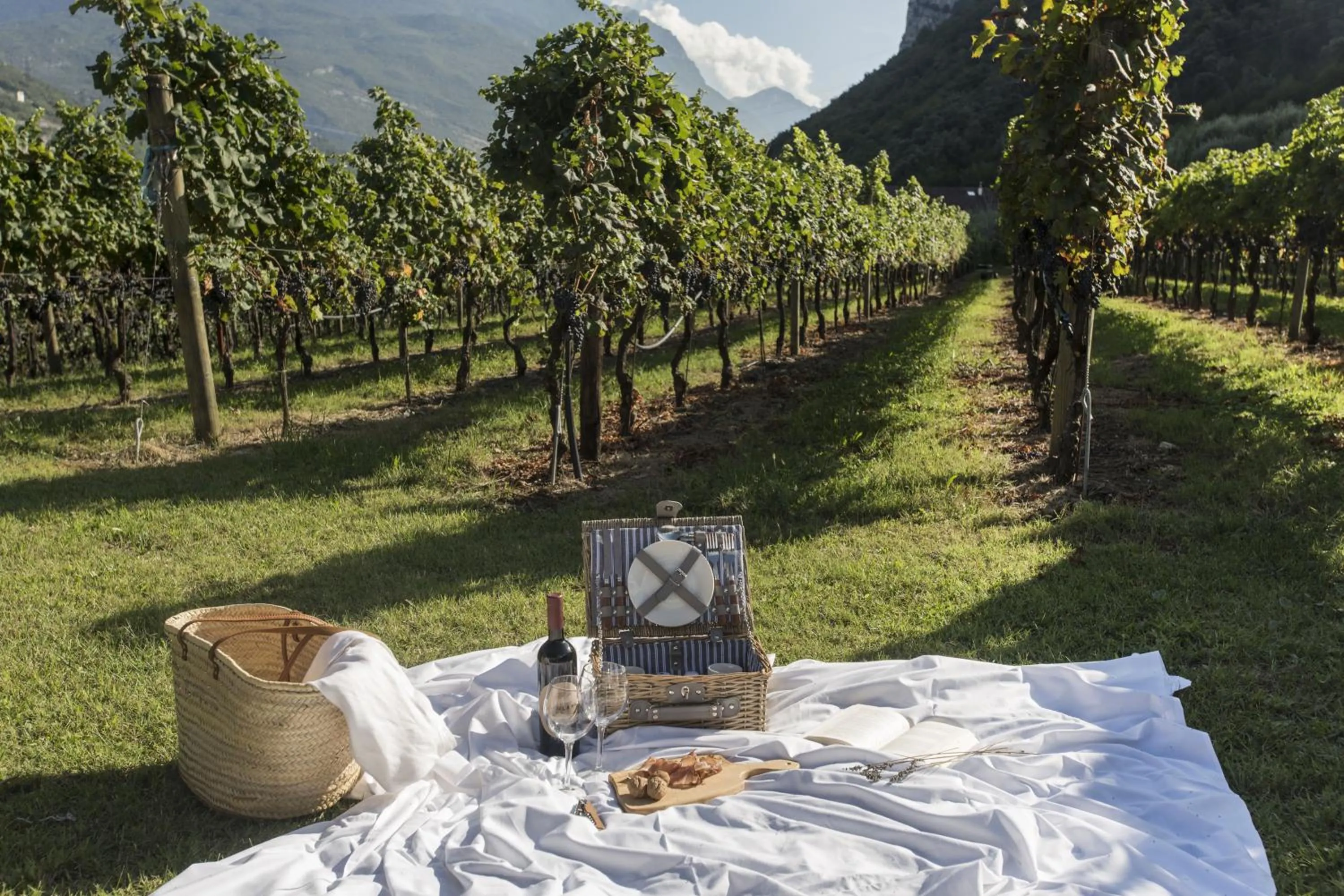 Garden in Residence La Vigna