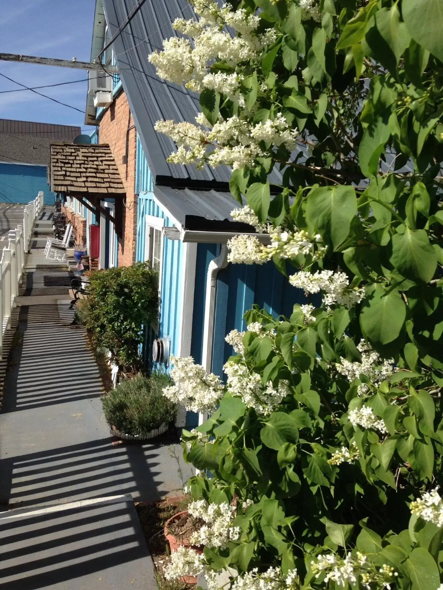 Facade/entrance in Sugarloaf Mountain Motel Facade/entrance in Sugarloaf Mountain Motel